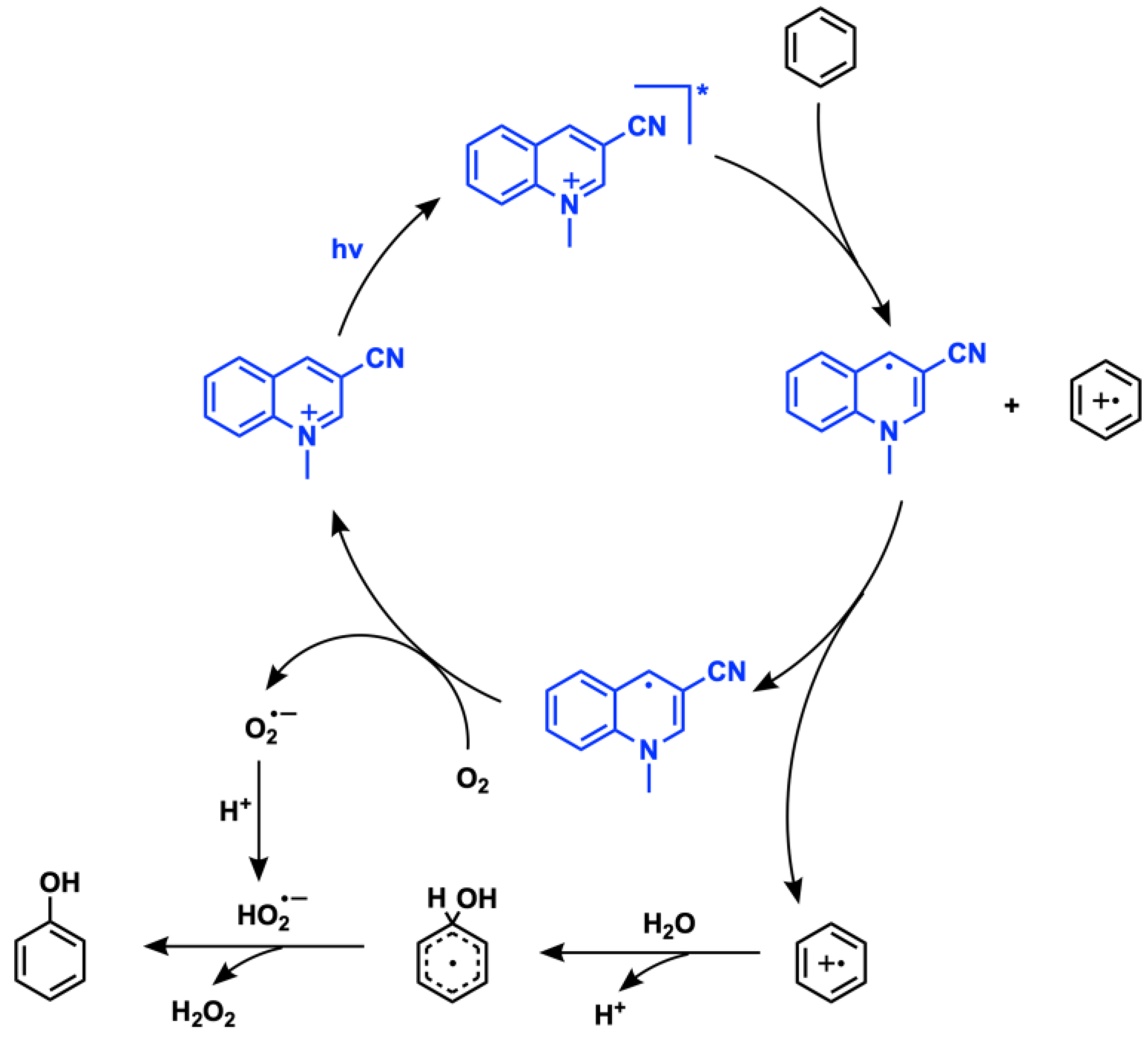 Catalysts 13 00220 sch014