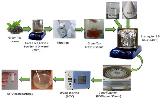 Catalysts 13 00227 g014