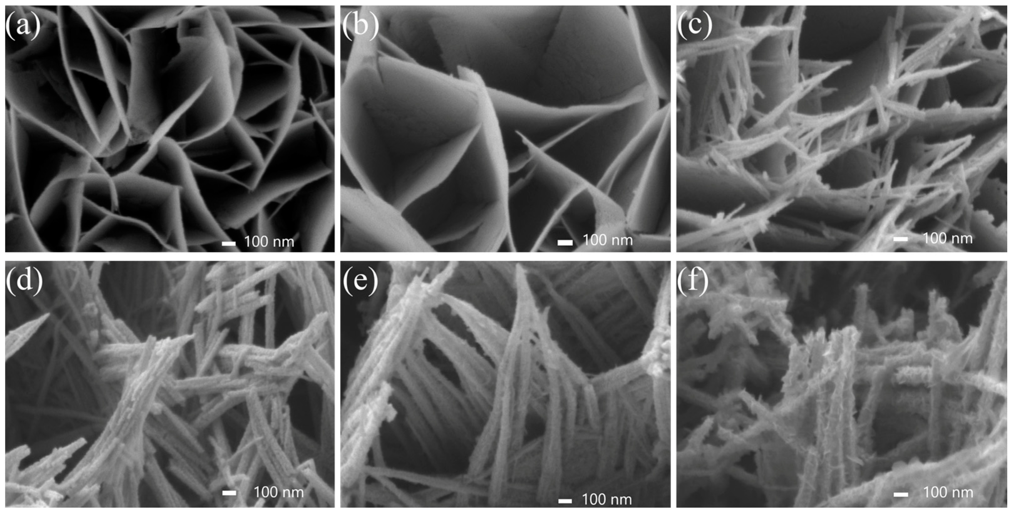 Catalysts 13 00230 g002