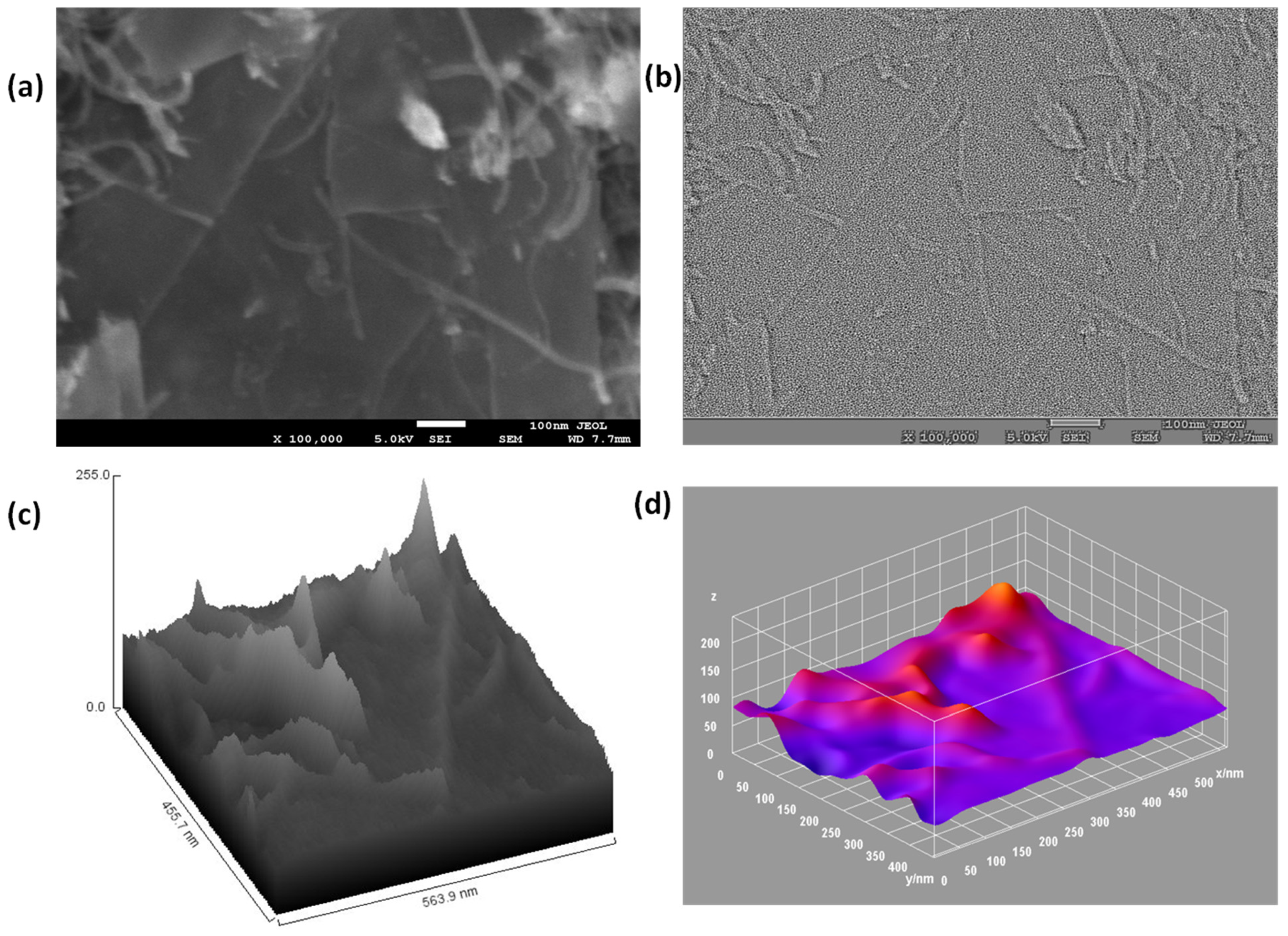 Catalysts 13 00235 g005