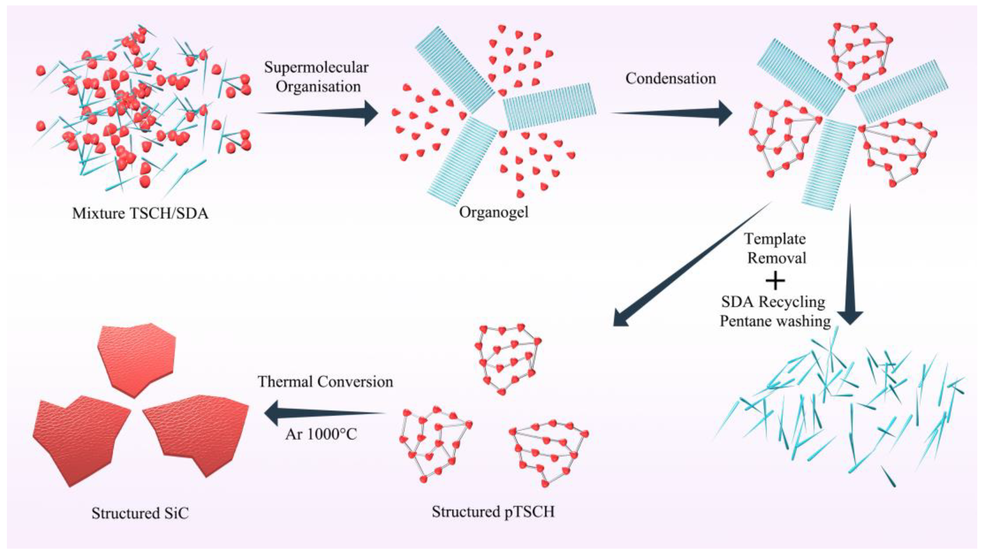 Catalysts 13 00236 g003 Catalysts 13 00236 g003