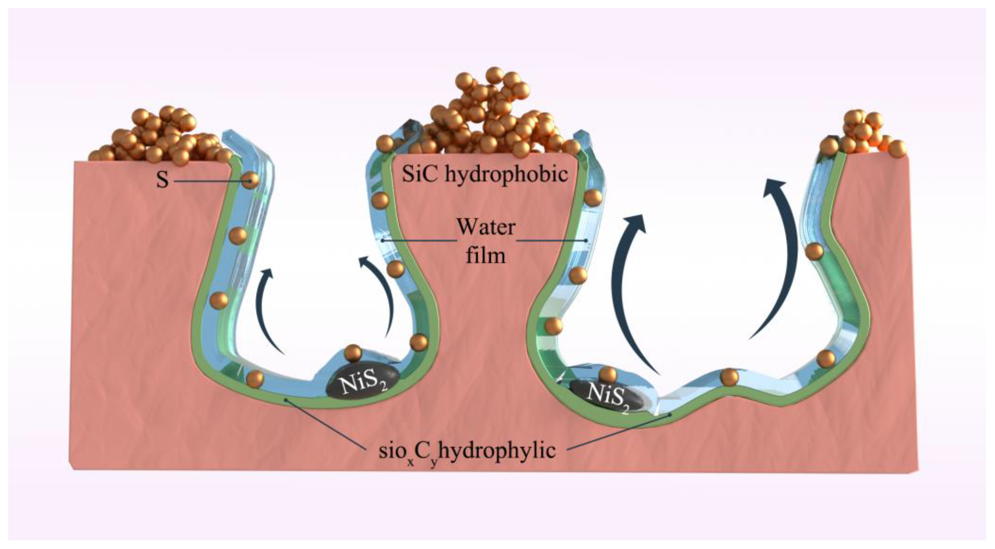 Catalysts 13 00236 g004 Catalysts 13 00236 g004