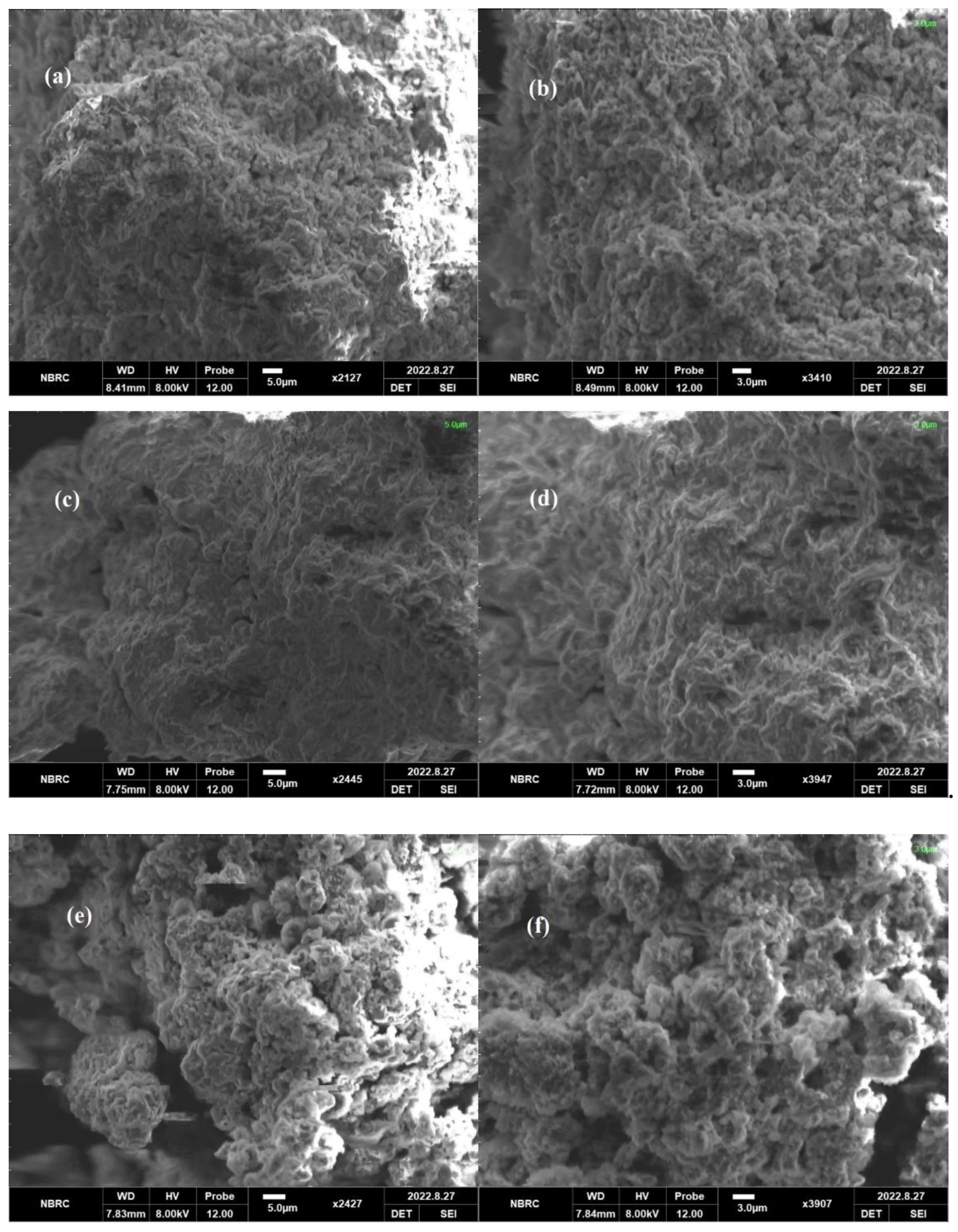 Catalysts 13 00239 g003
