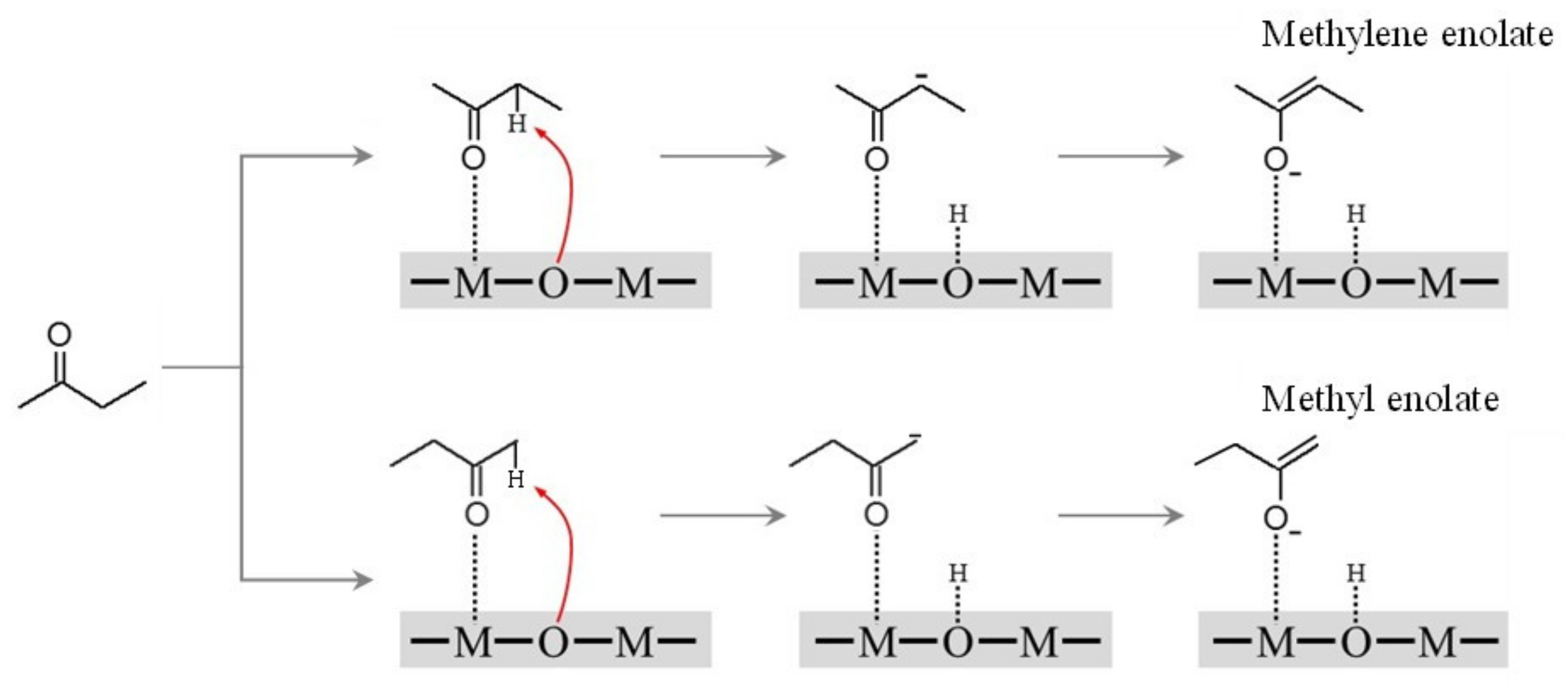 Catalysts 13 00242 g003