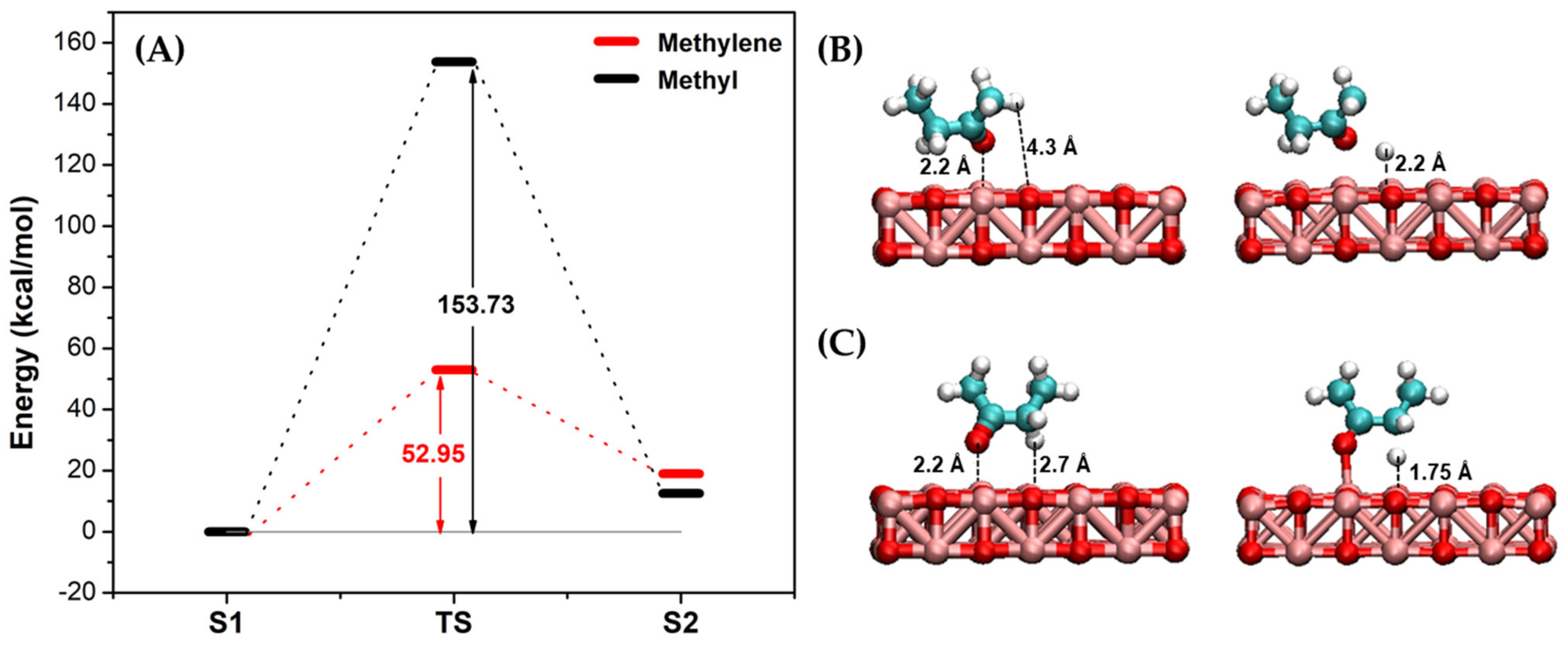Catalysts 13 00242 g010