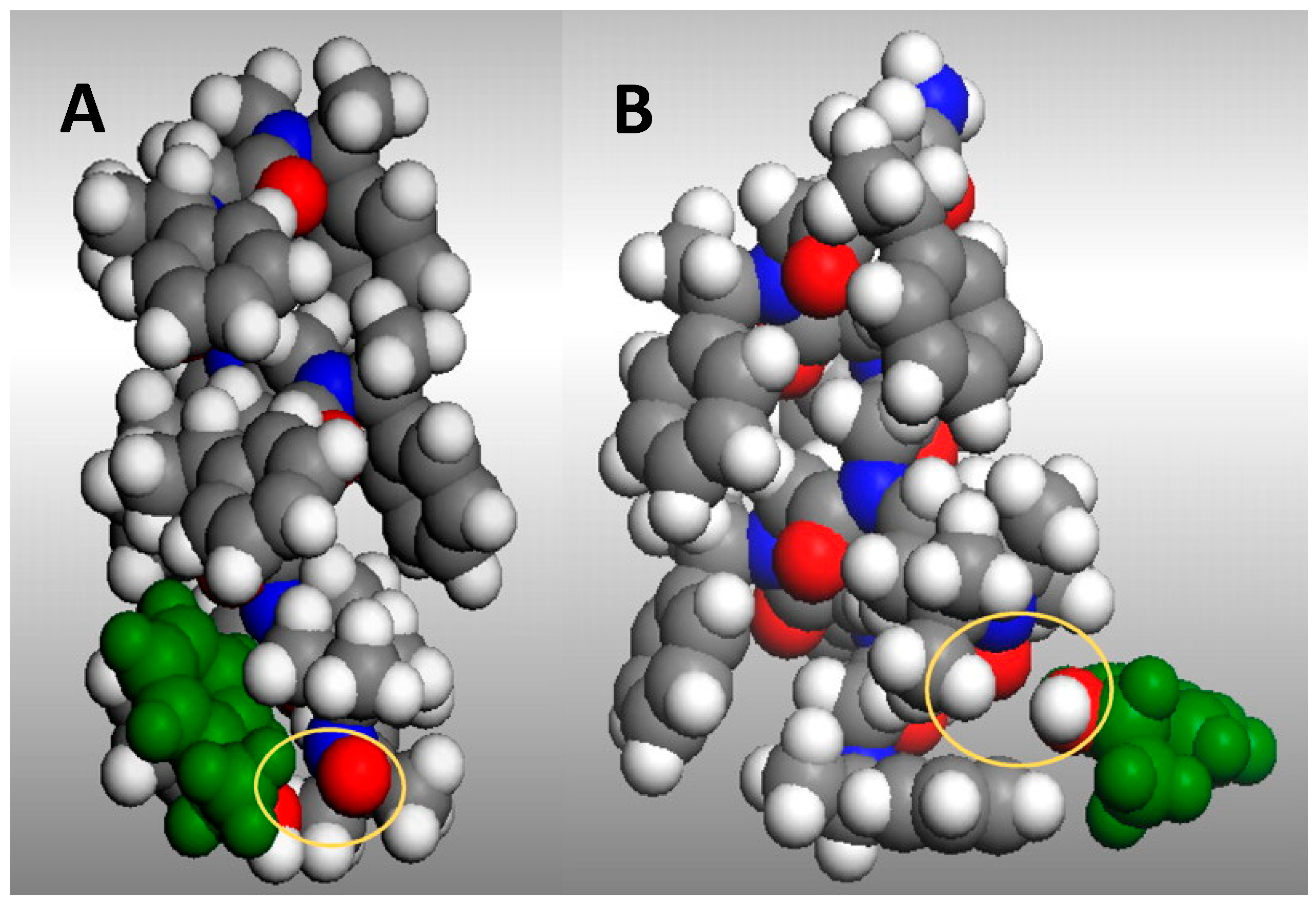 Catalysts 13 00244 g005