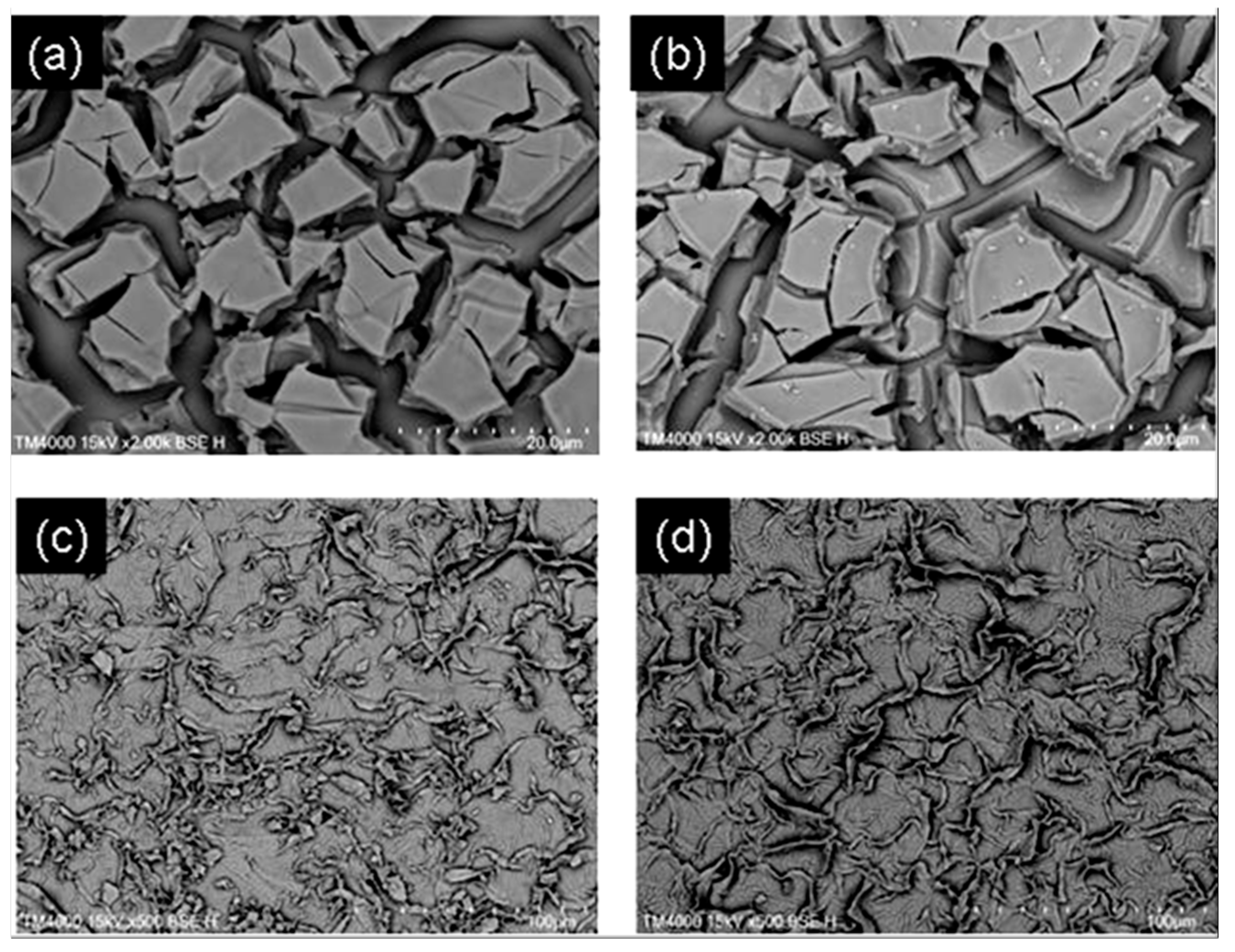 Catalysts 13 00245 g005