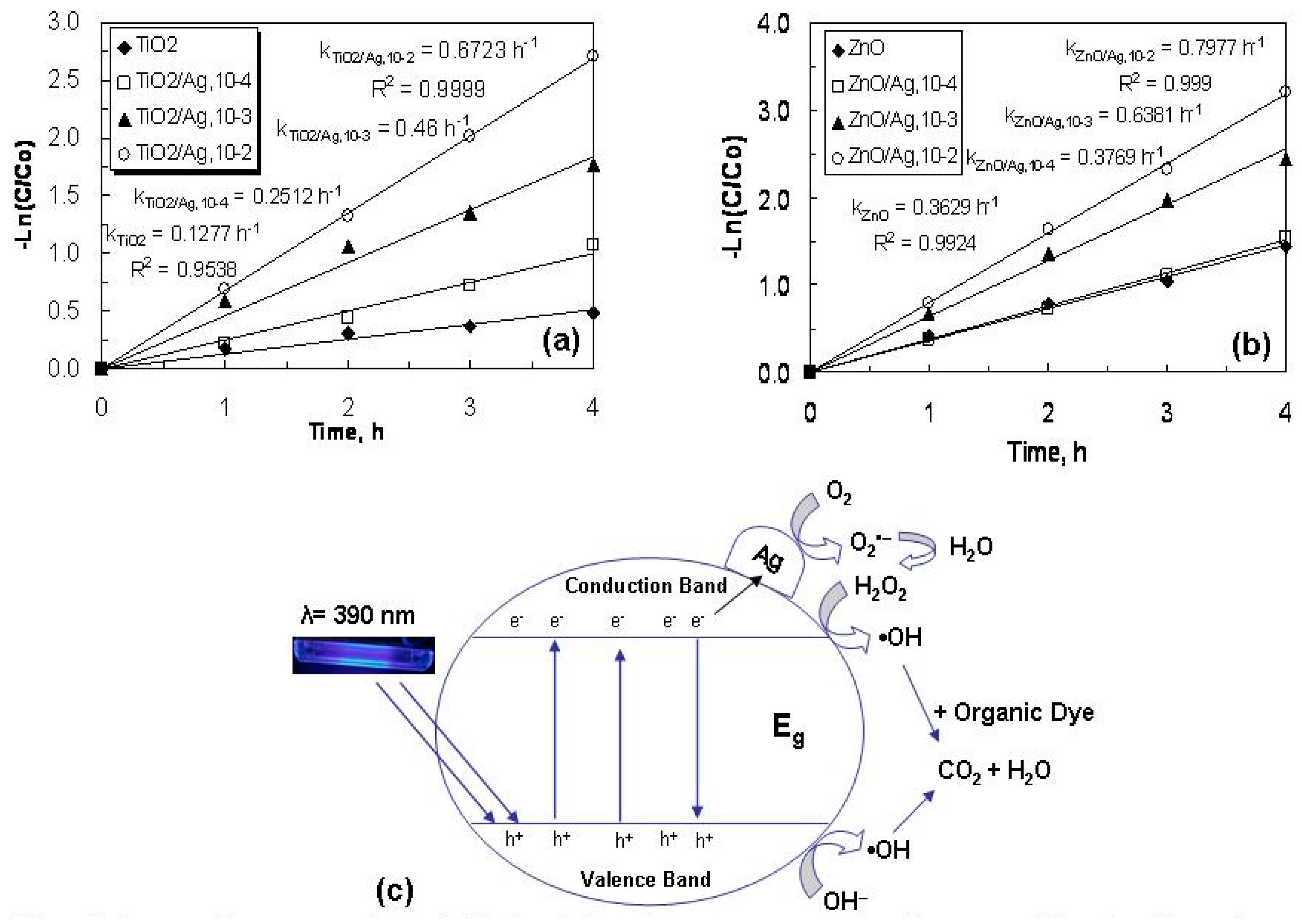 Catalysts 13 00245 g008