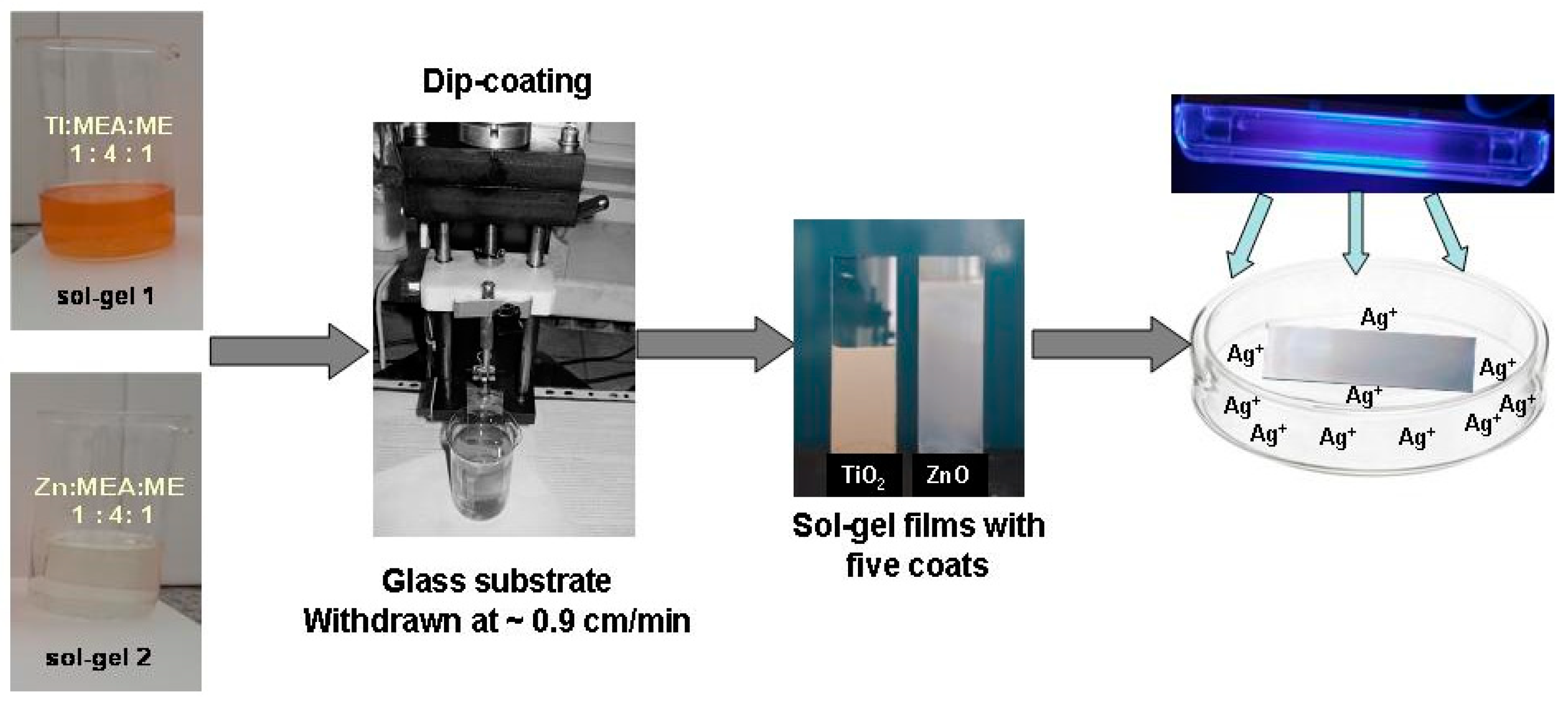 Catalysts 13 00245 g013