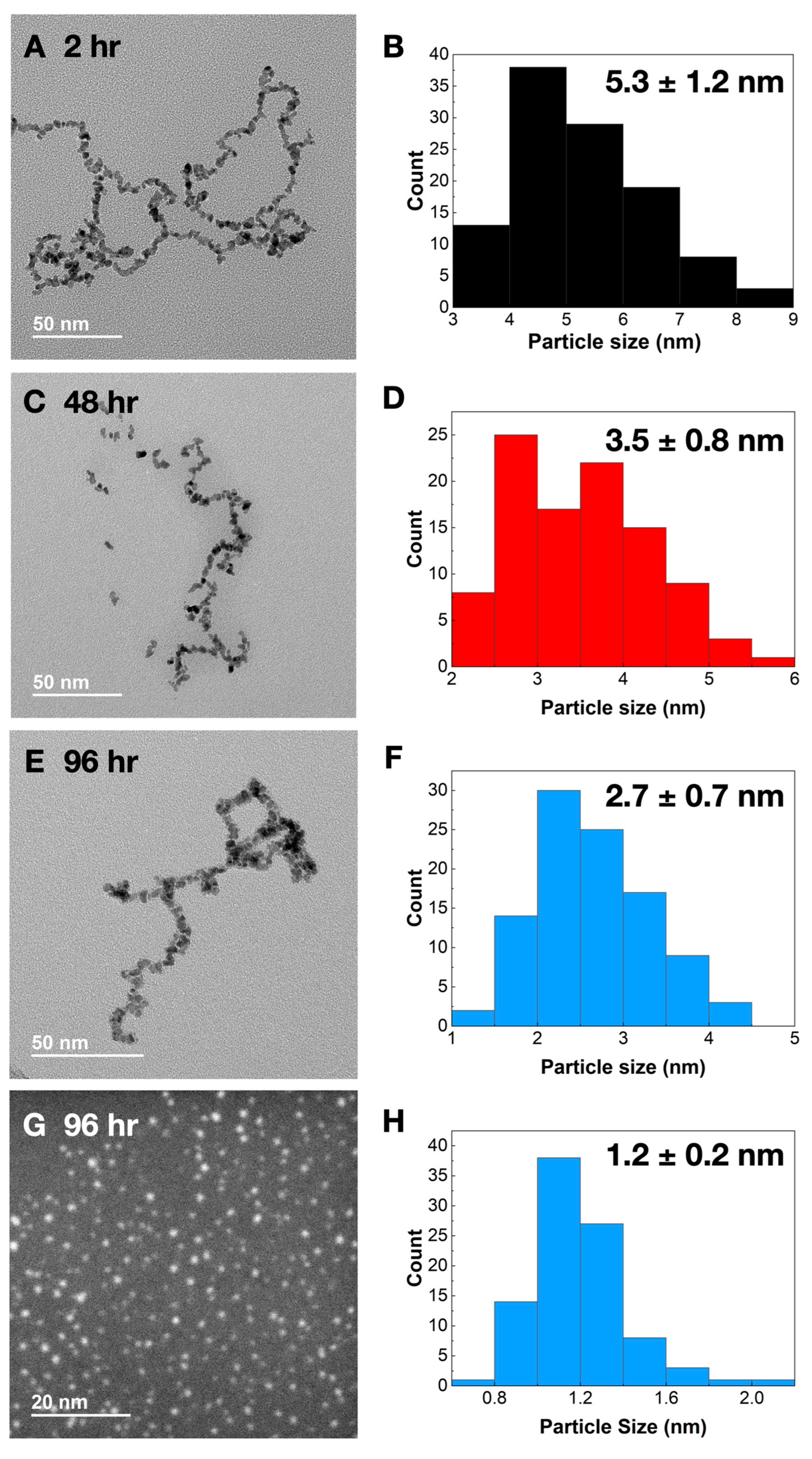 Catalysts 13 00246 g002 Catalysts 13 00246 g002