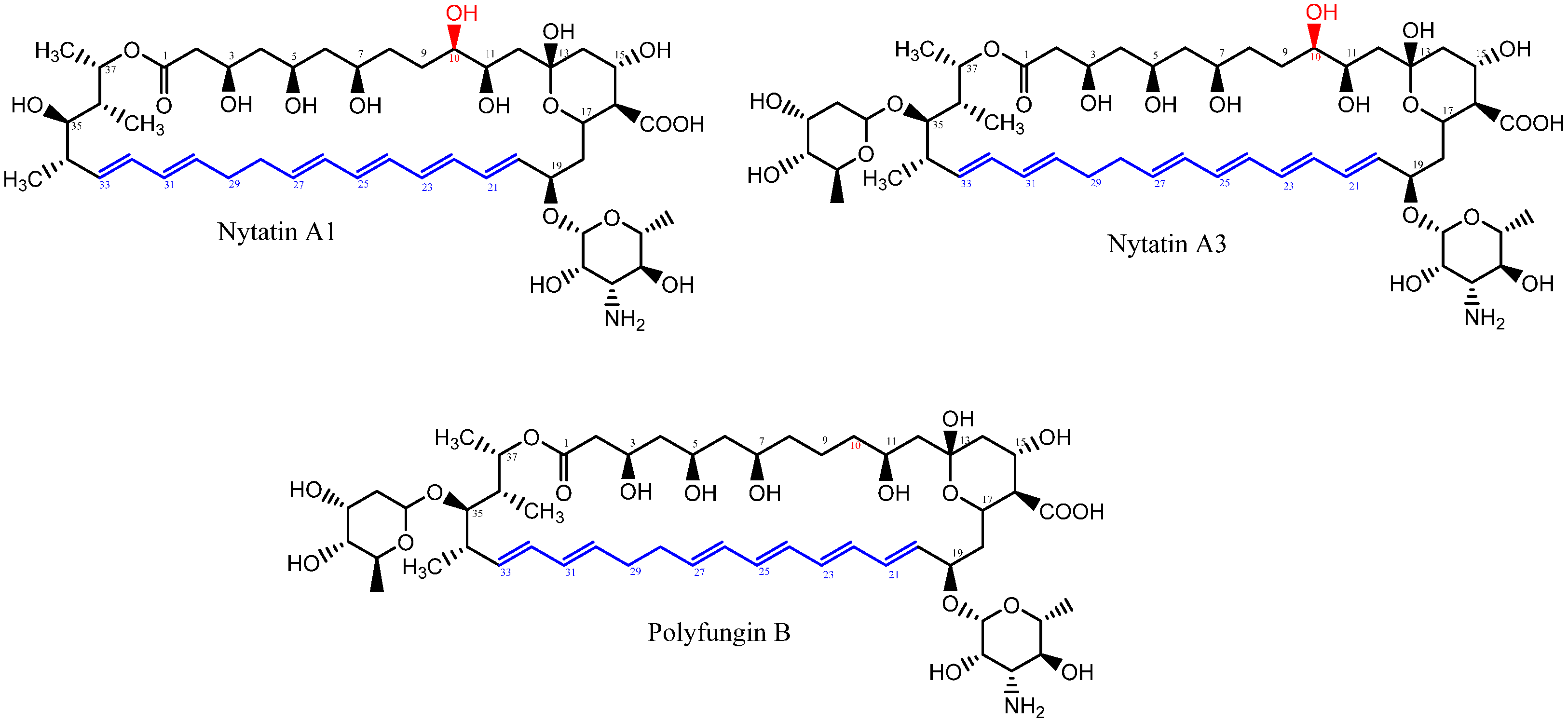 Catalysts 13 00247 g001