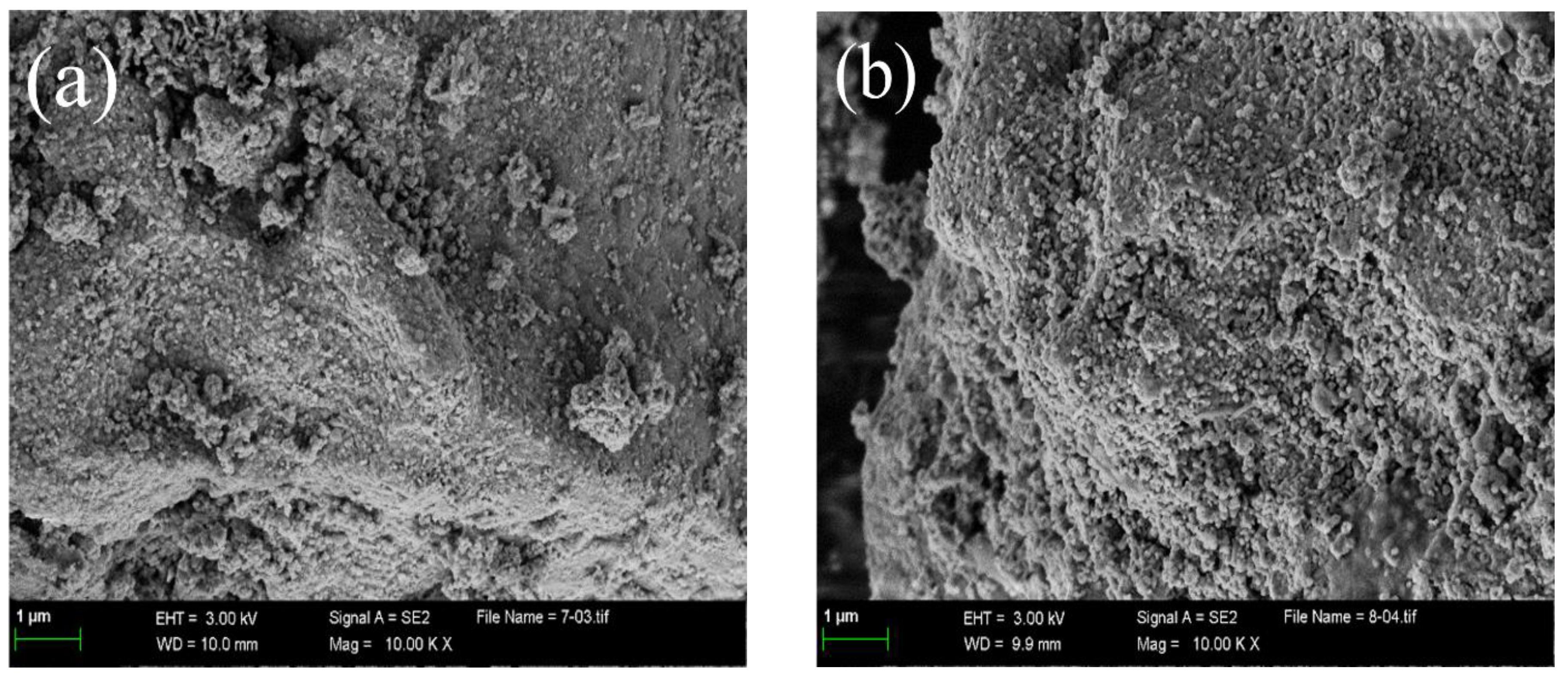 Catalysts 13 00248 g002 Catalysts 13 00248 g002