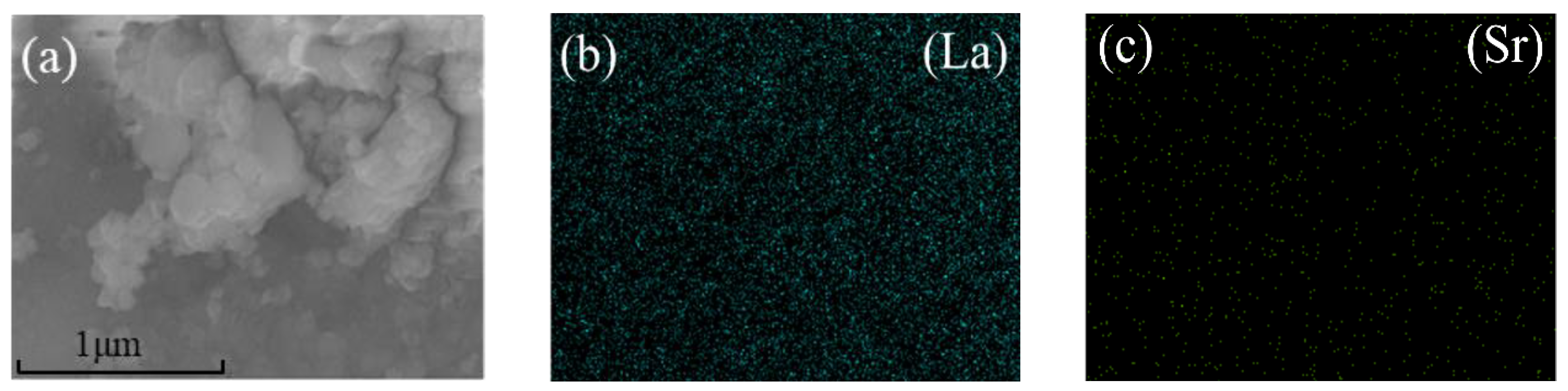 Catalysts 13 00248 g003a Catalysts 13 00248 g003a