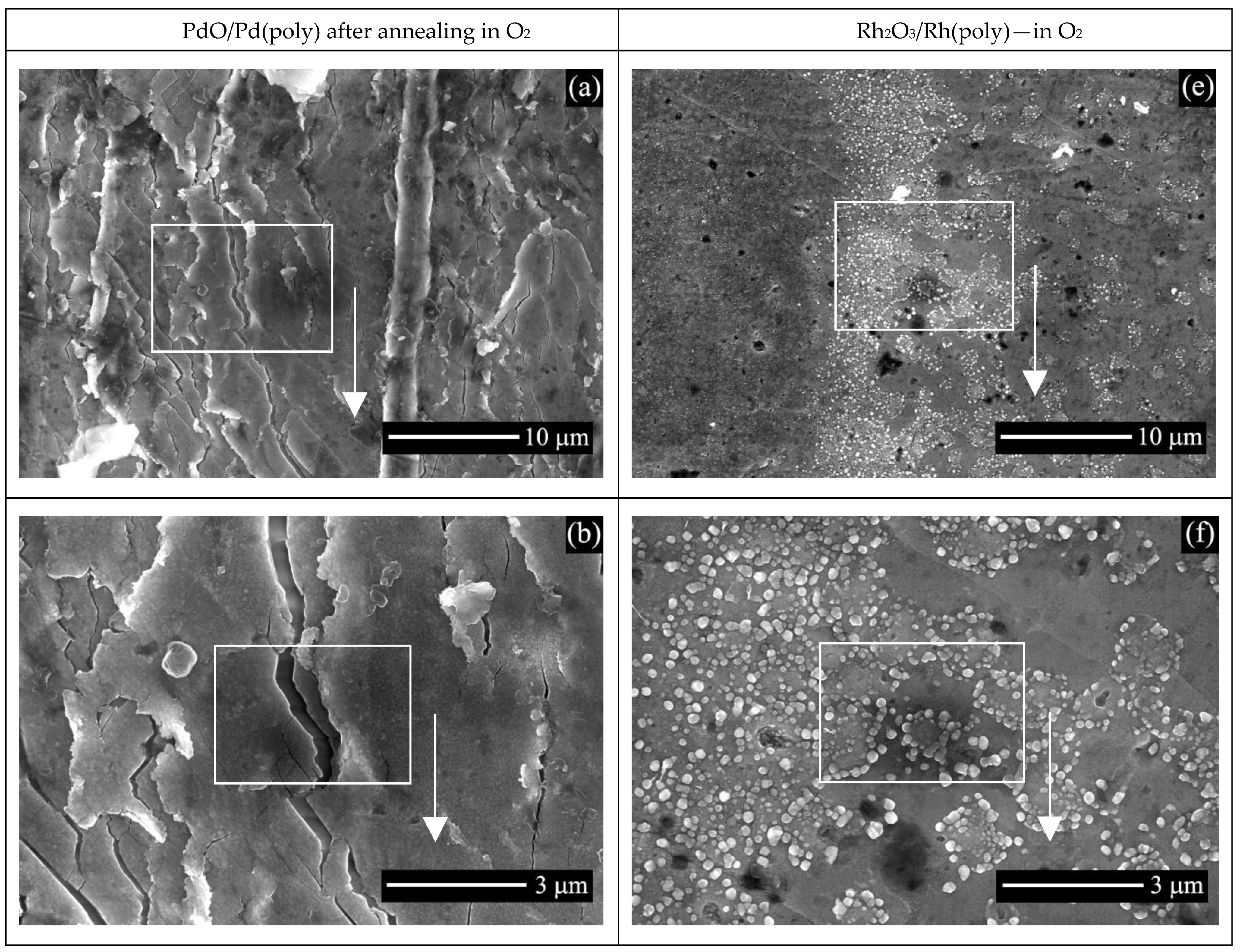 Catalysts 13 00249 g003a