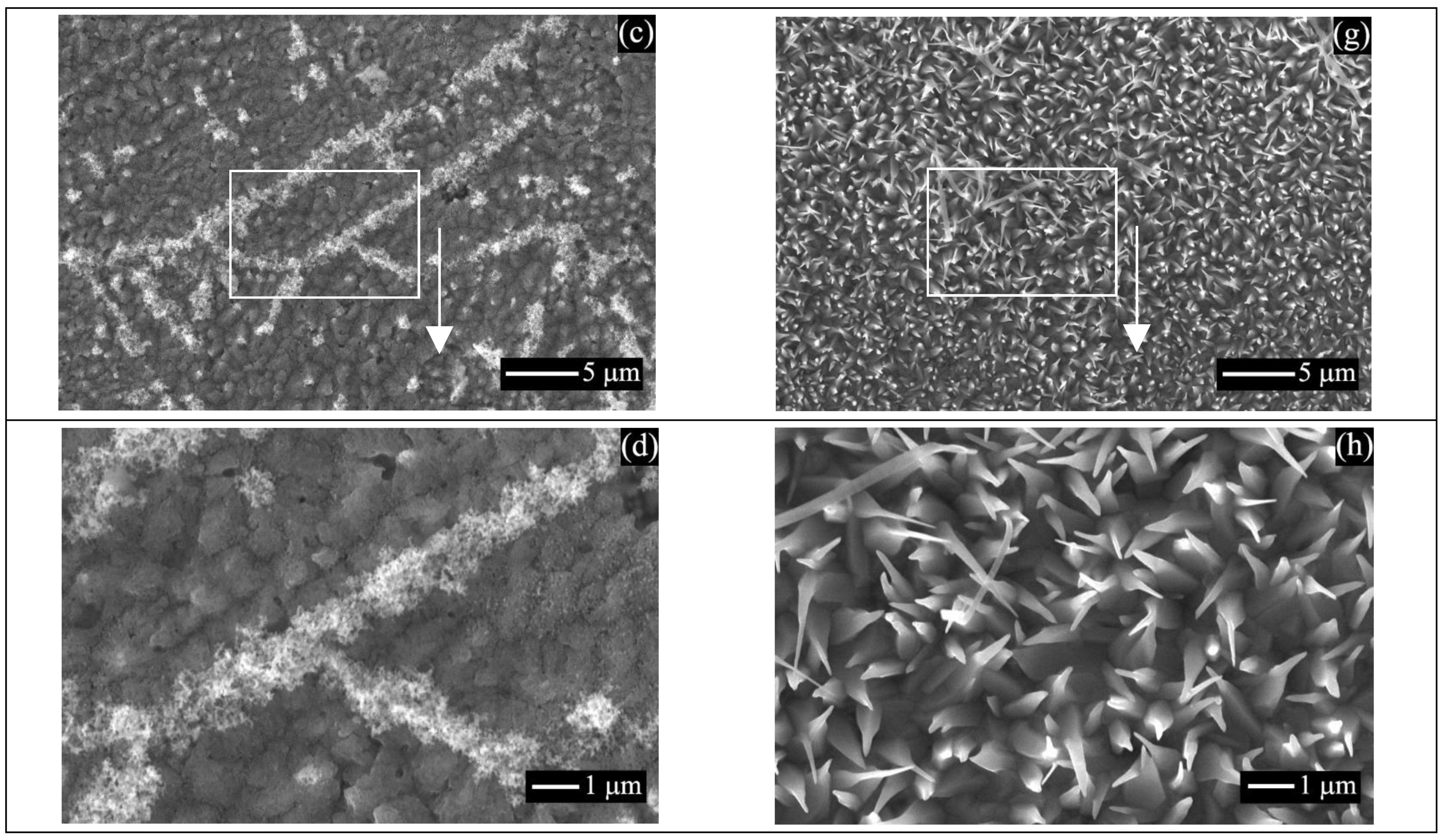 Catalysts 13 00249 g006b