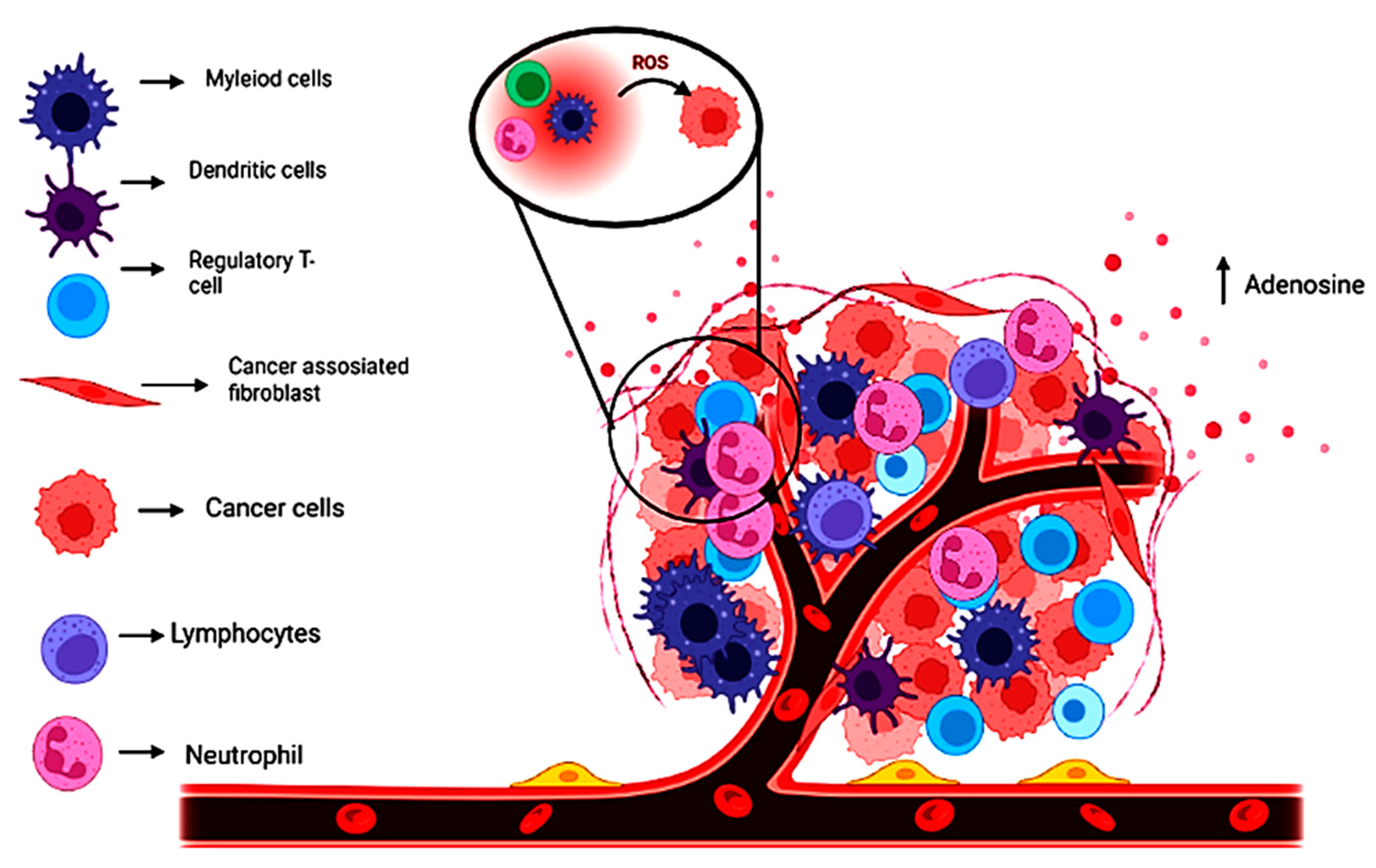 Catalysts 13 00250 g002