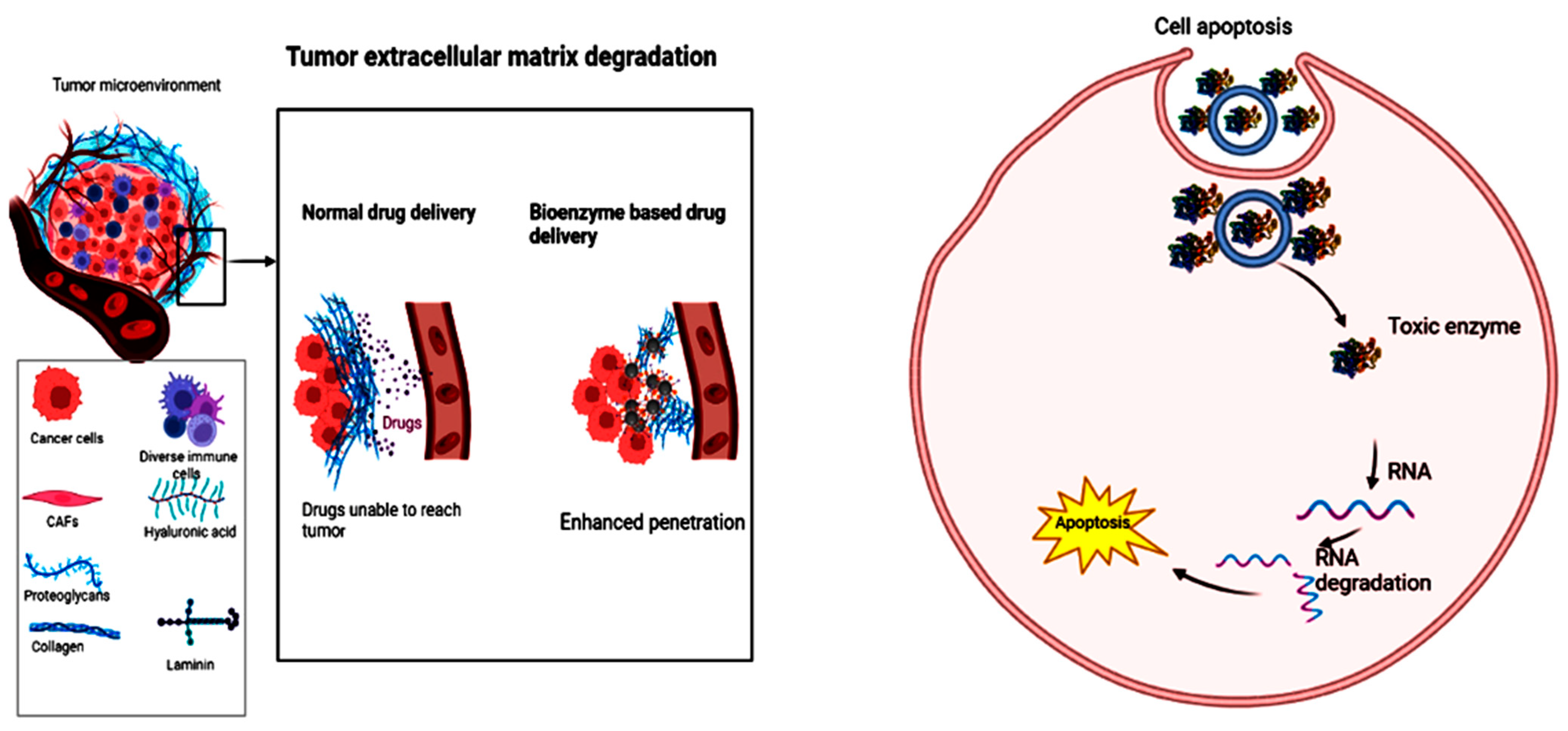 Catalysts 13 00250 g003
