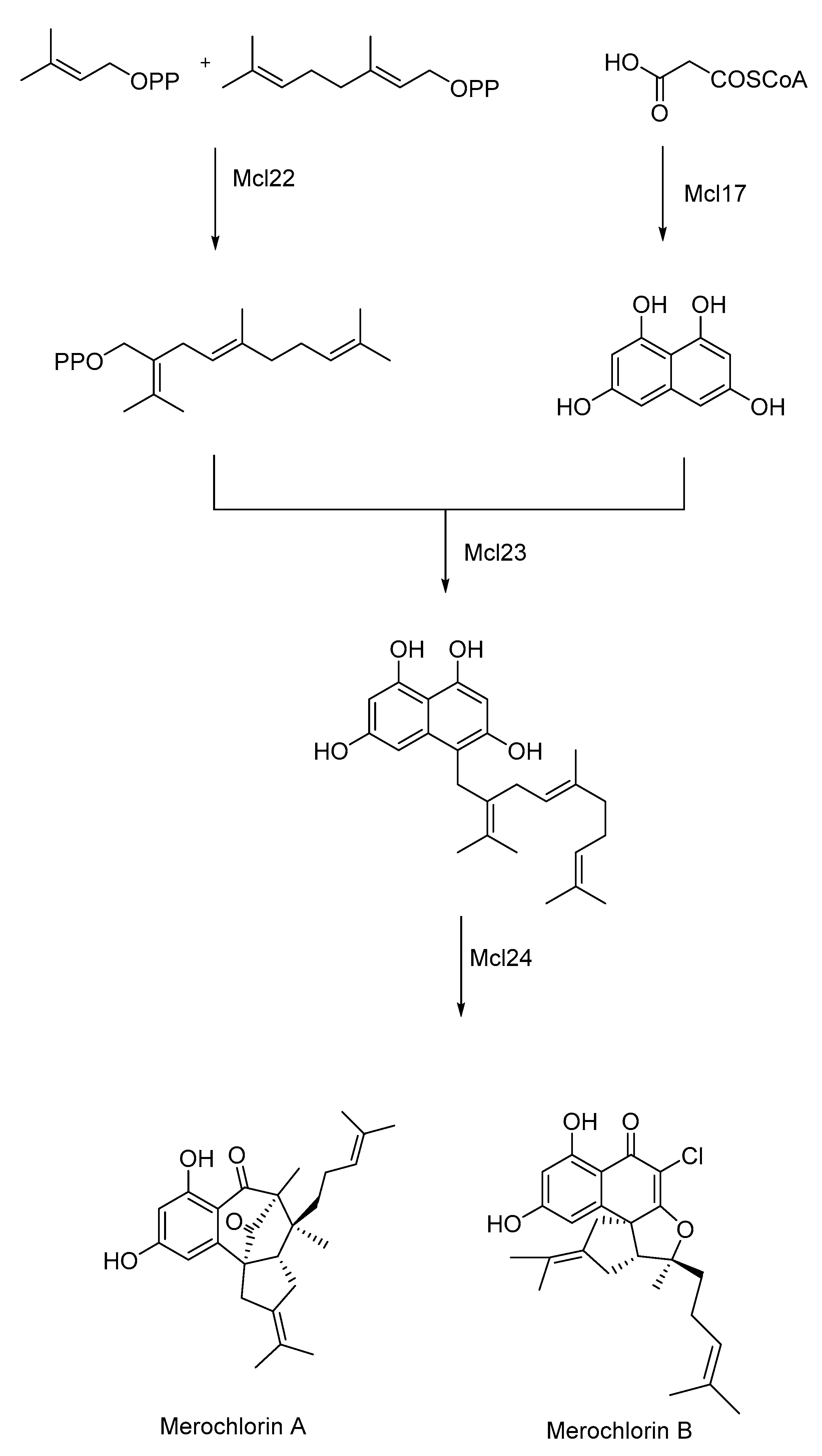 Catalysts 13 00250 sch002