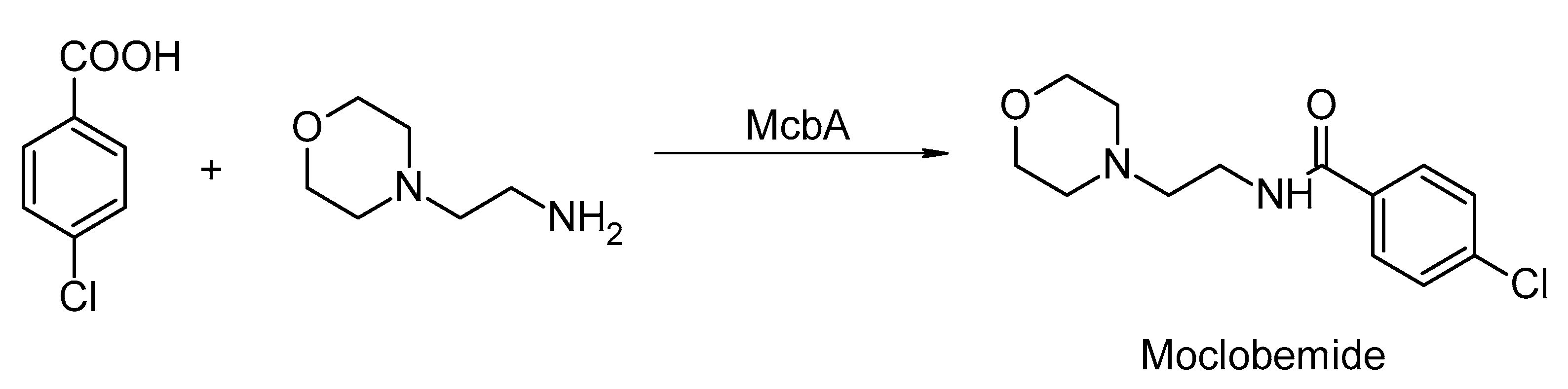 Catalysts 13 00250 sch004