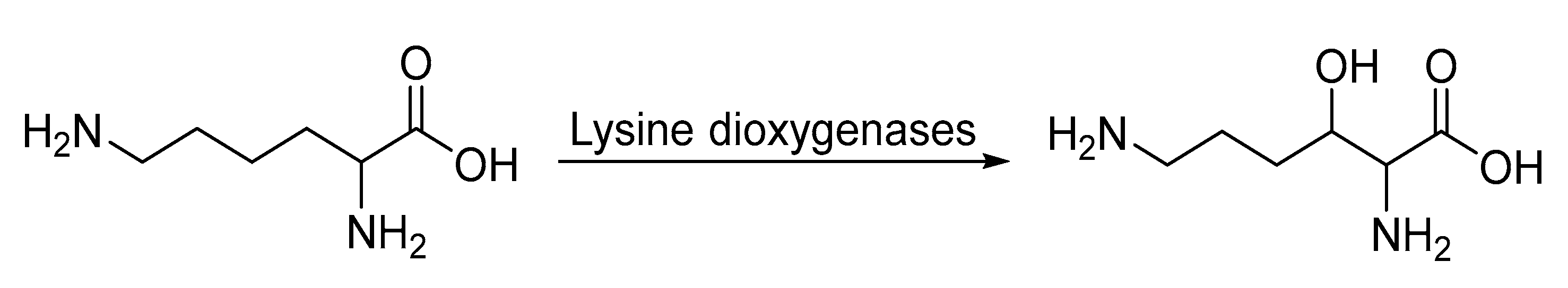 Catalysts 13 00250 sch006