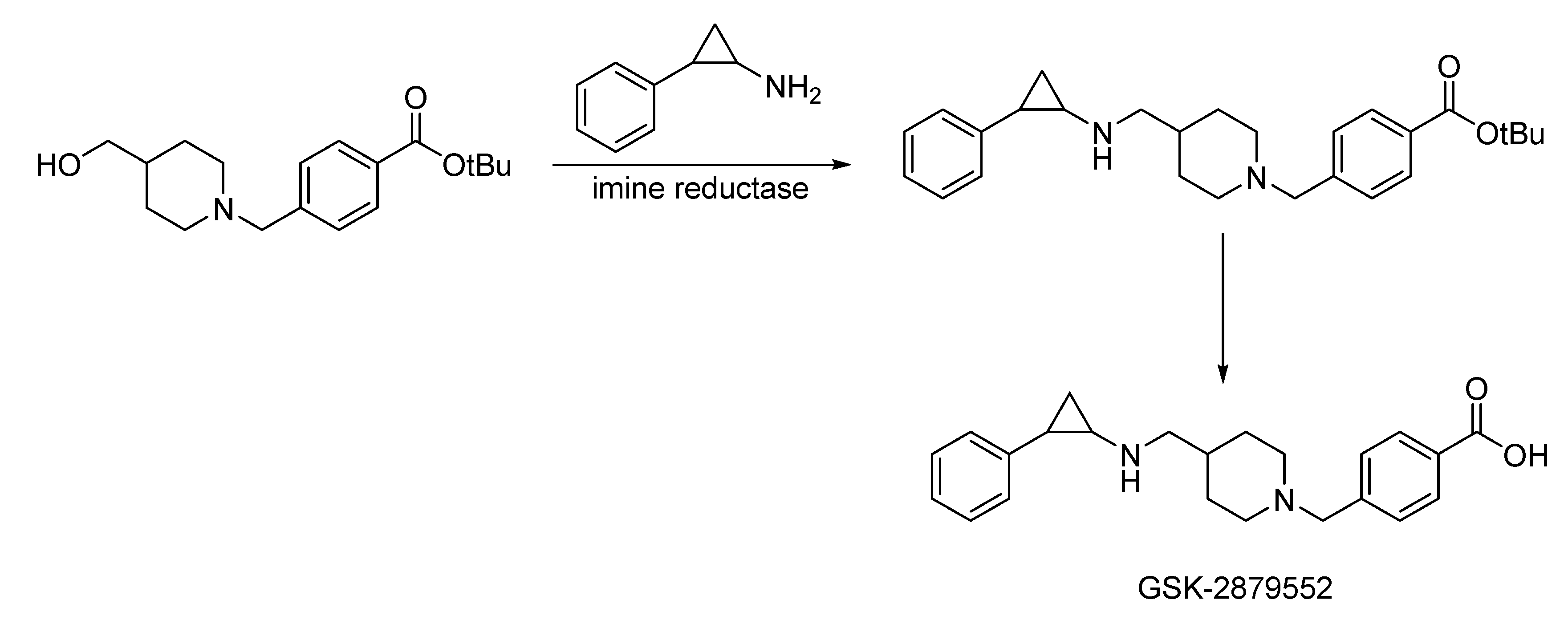 Catalysts 13 00250 sch007