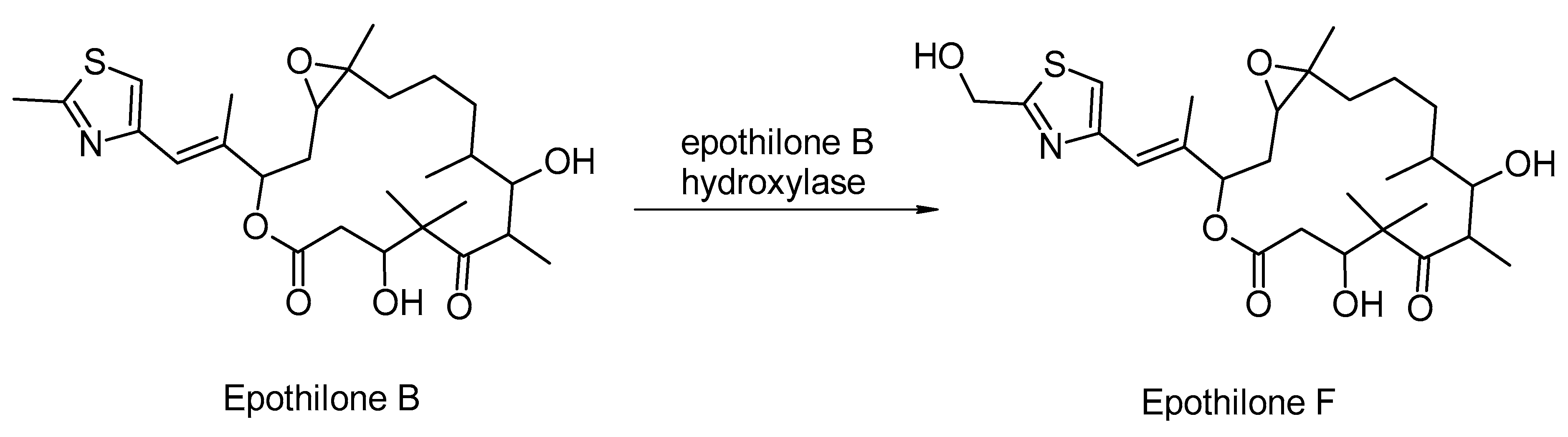 Catalysts 13 00250 sch008