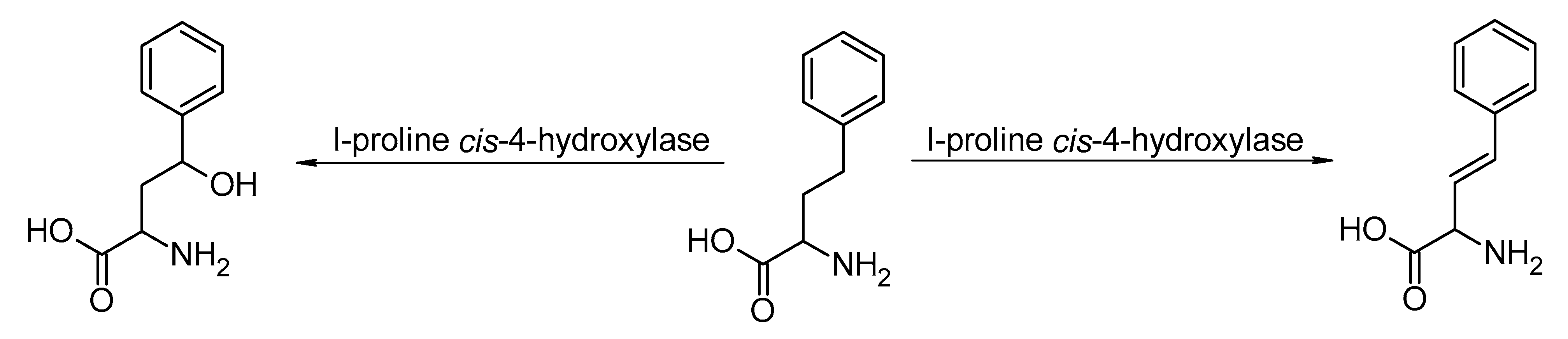 Catalysts 13 00250 sch009