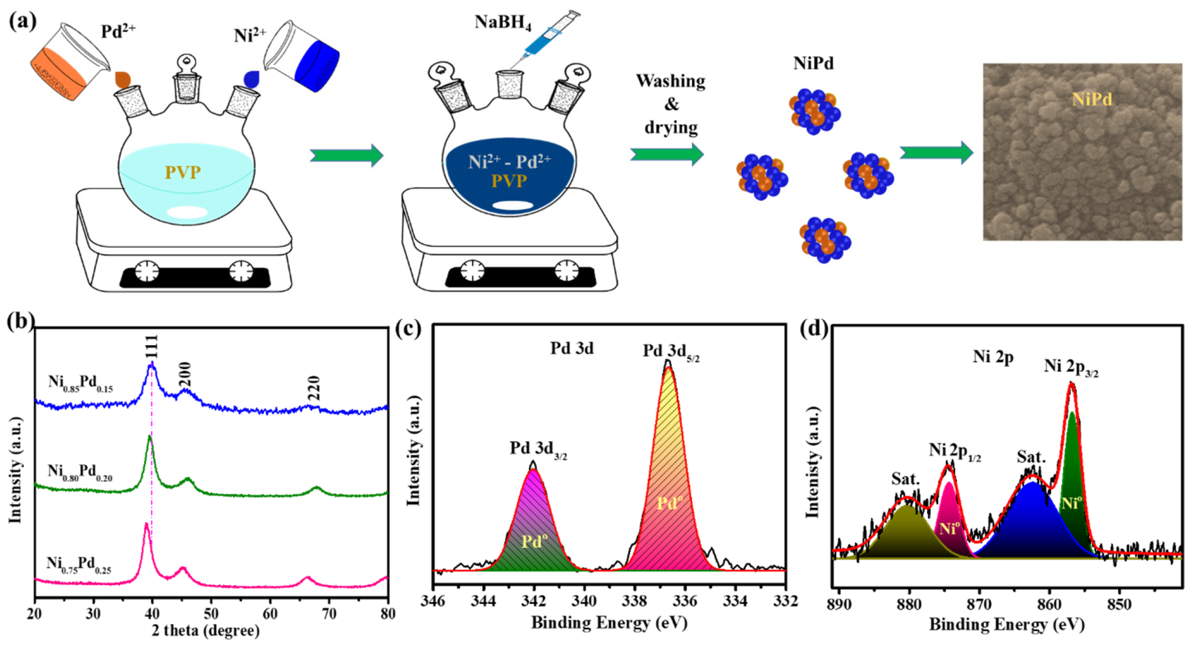 Catalysts 13 00260 g001