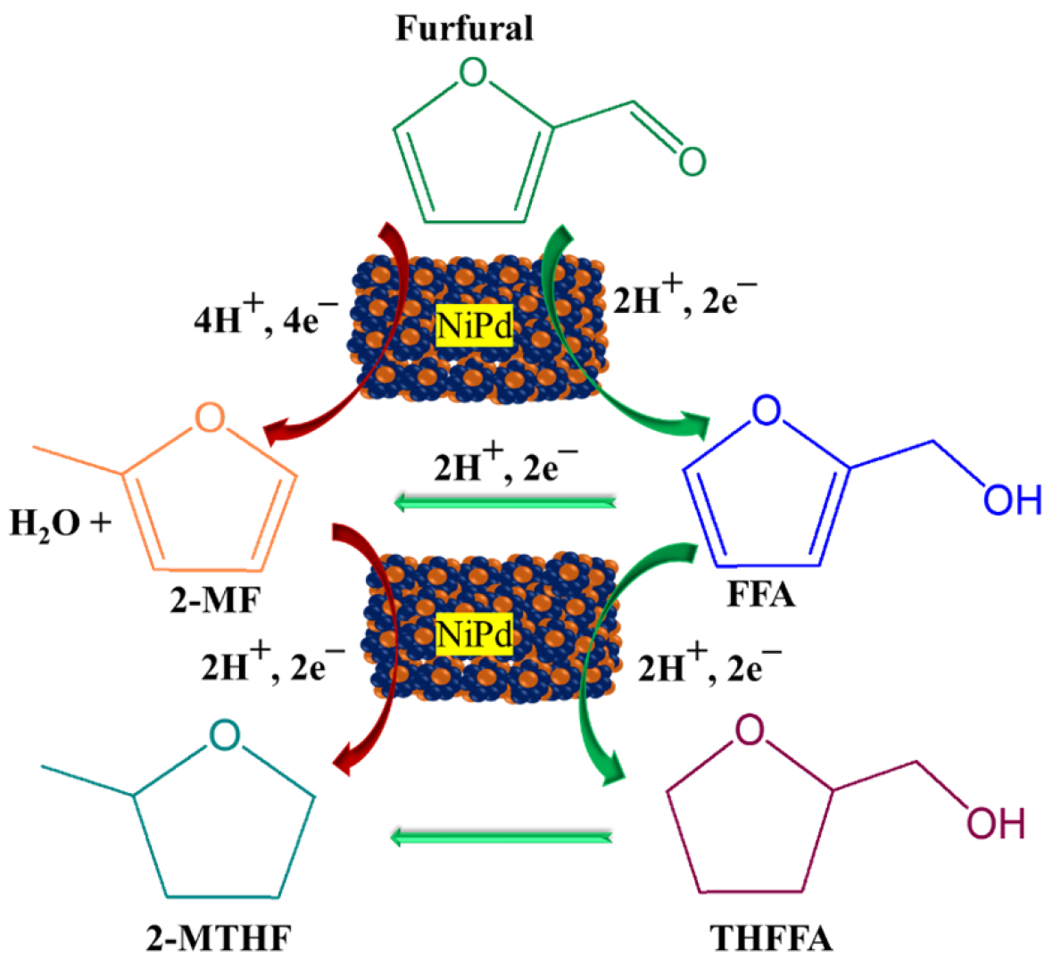 Catalysts 13 00260 g007