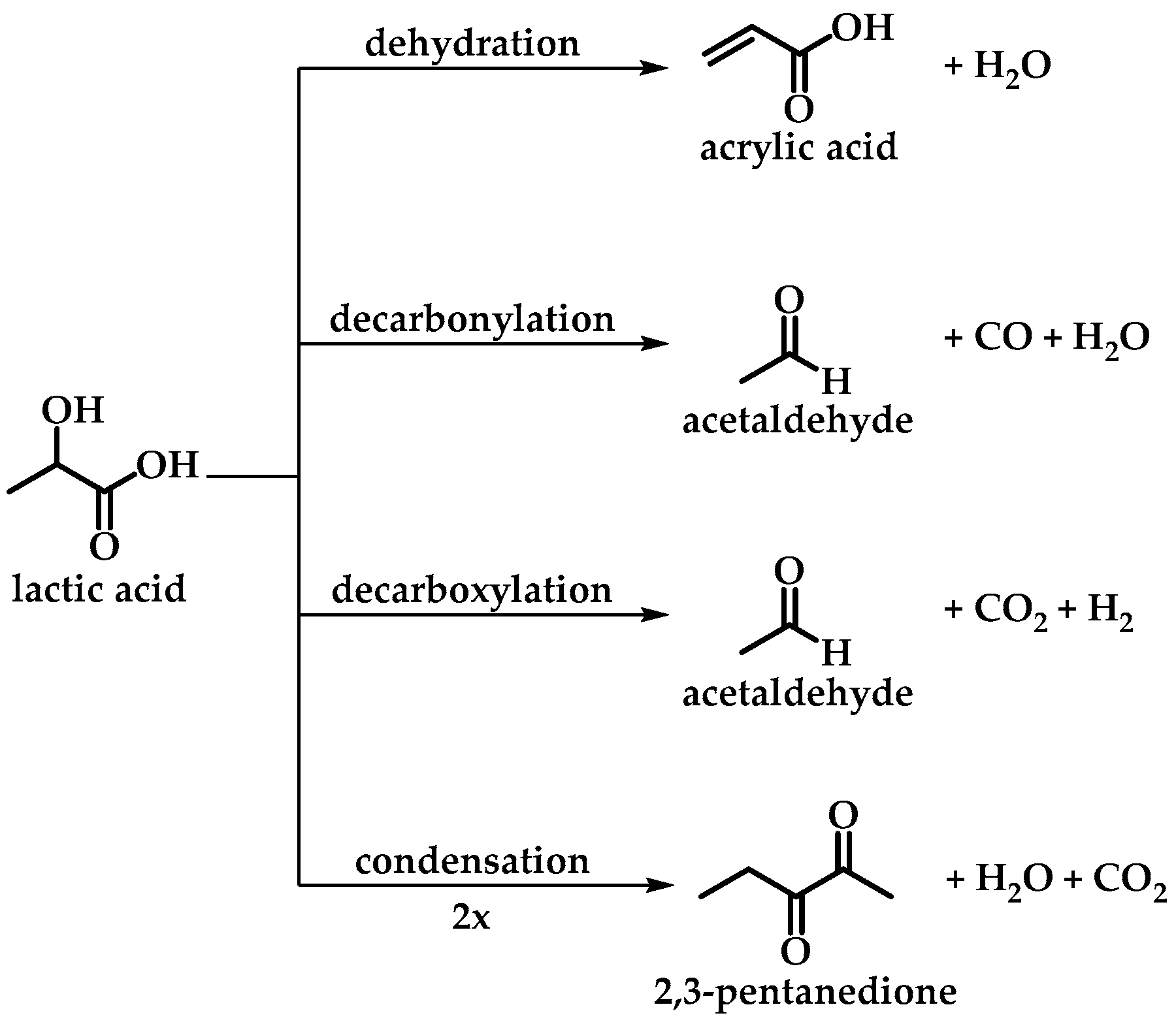 Catalysts 13 00261 g001