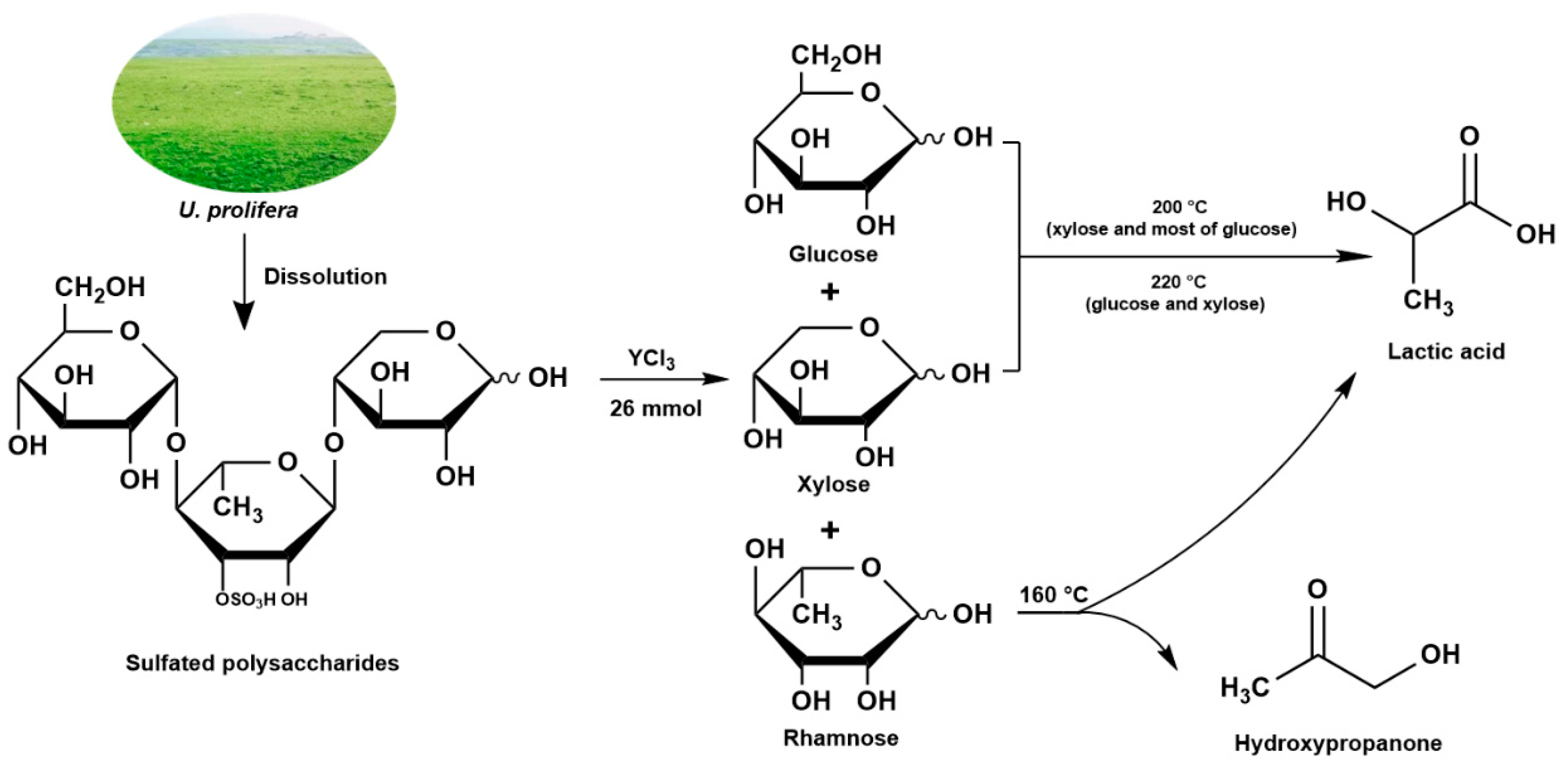 Catalysts 13 00262 g005 Catalysts 13 00262 g005