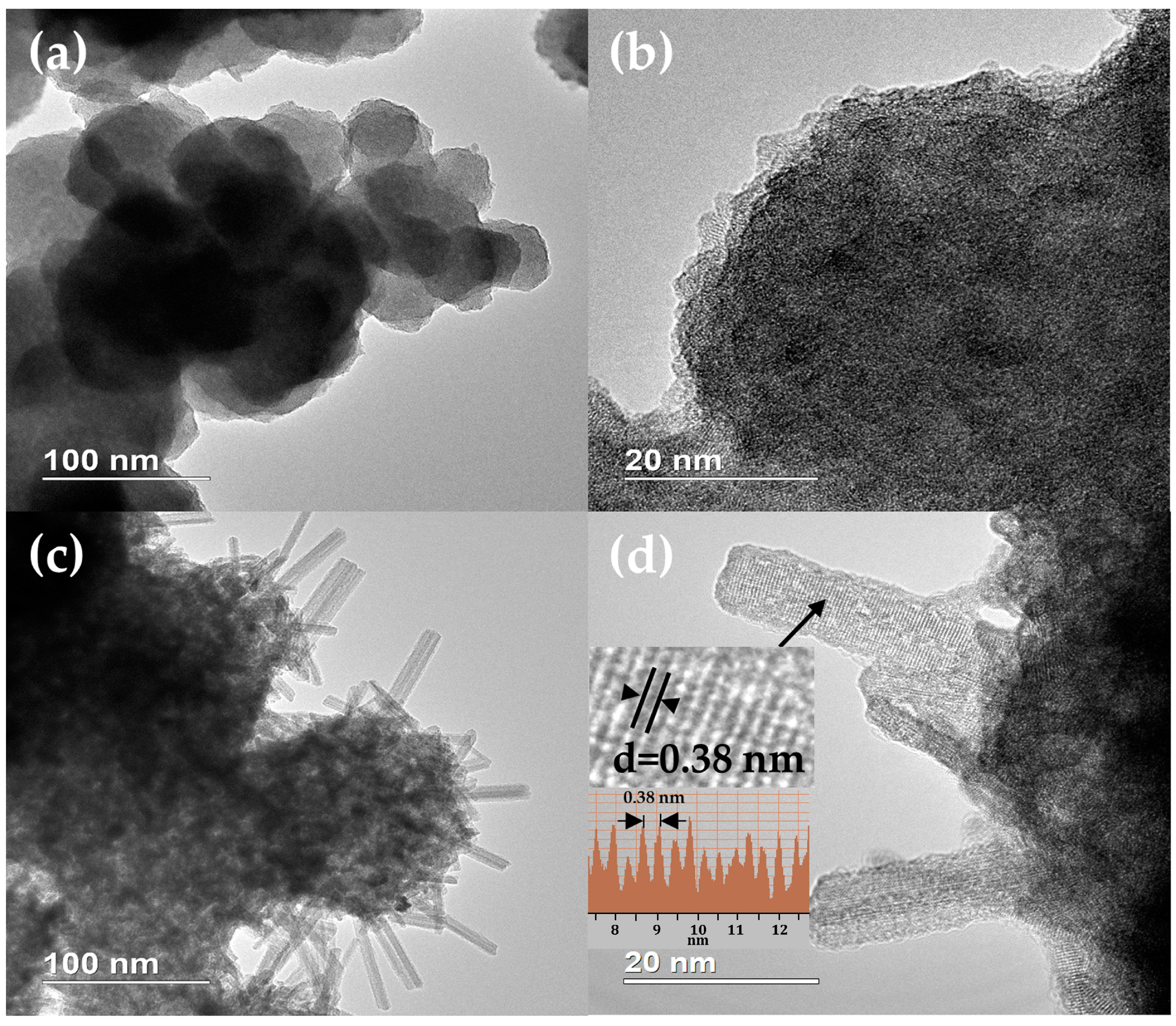 Catalysts 13 00263 g004 Catalysts 13 00263 g004