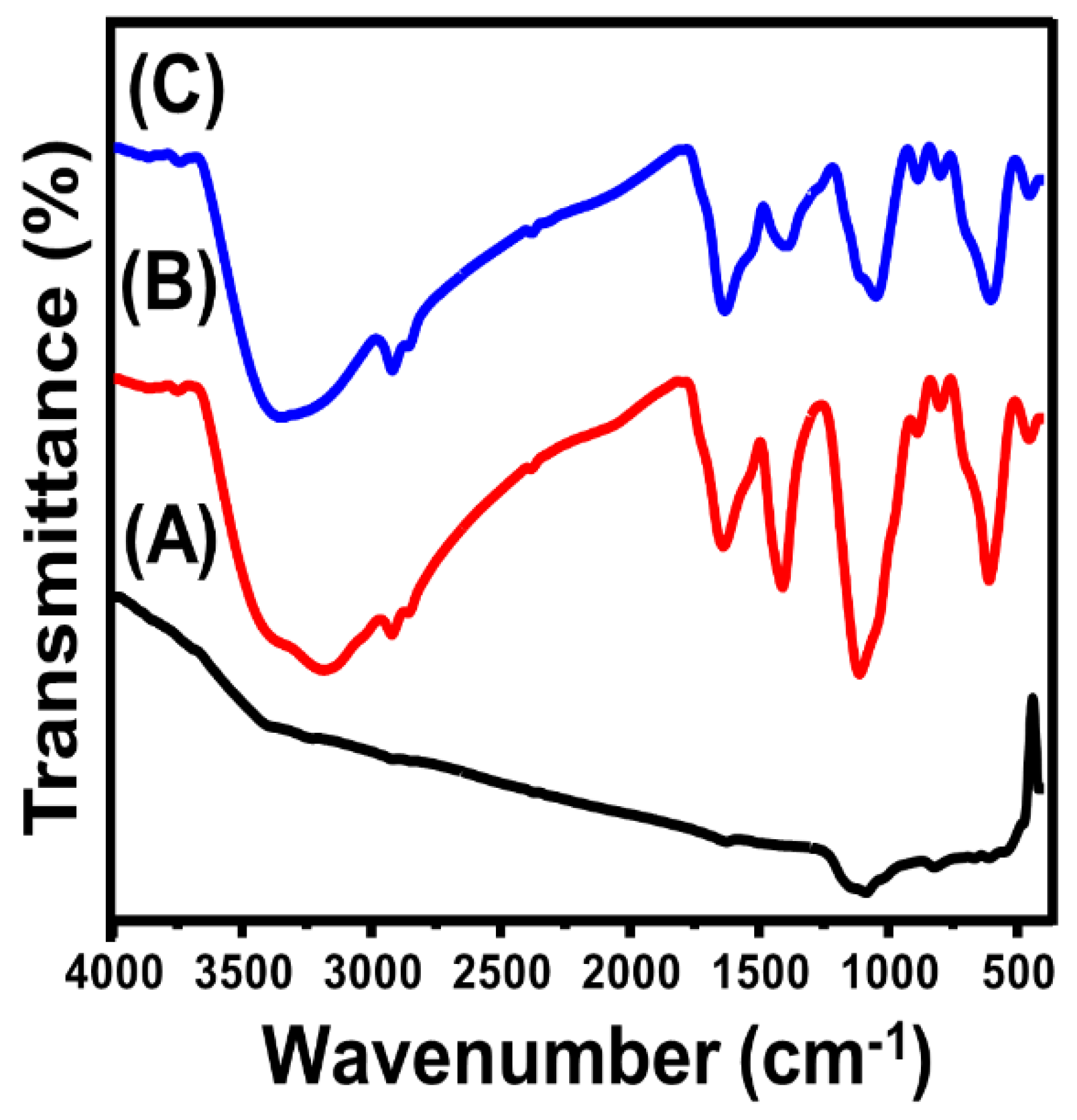 Catalysts 13 00264 g003