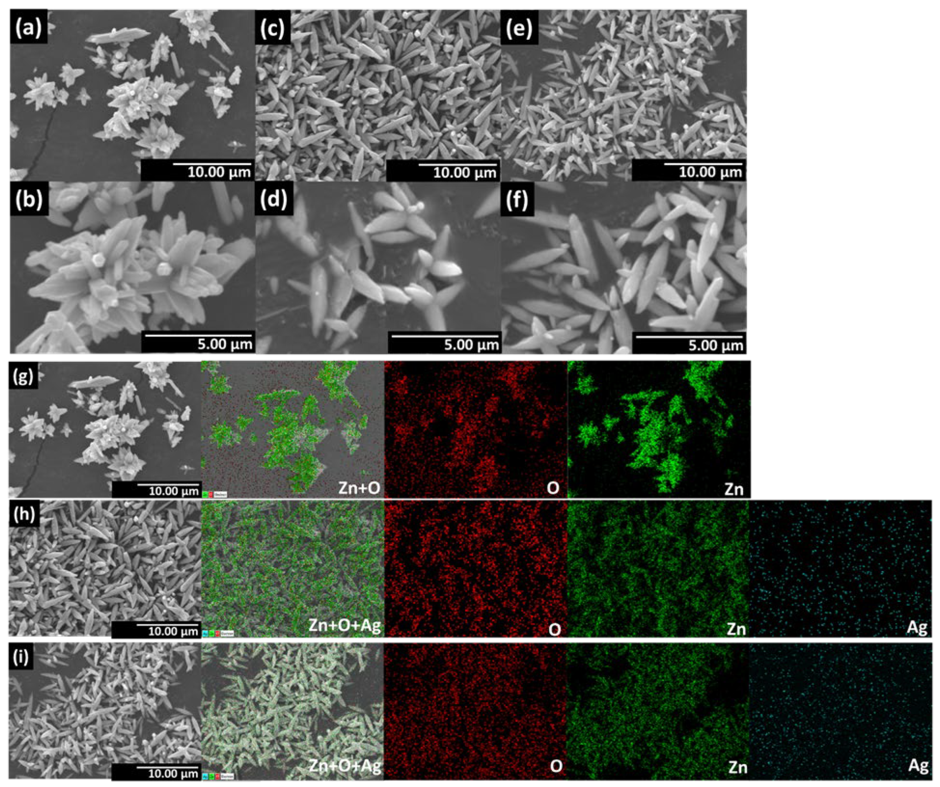 Catalysts 13 00265 g004 Catalysts 13 00265 g004