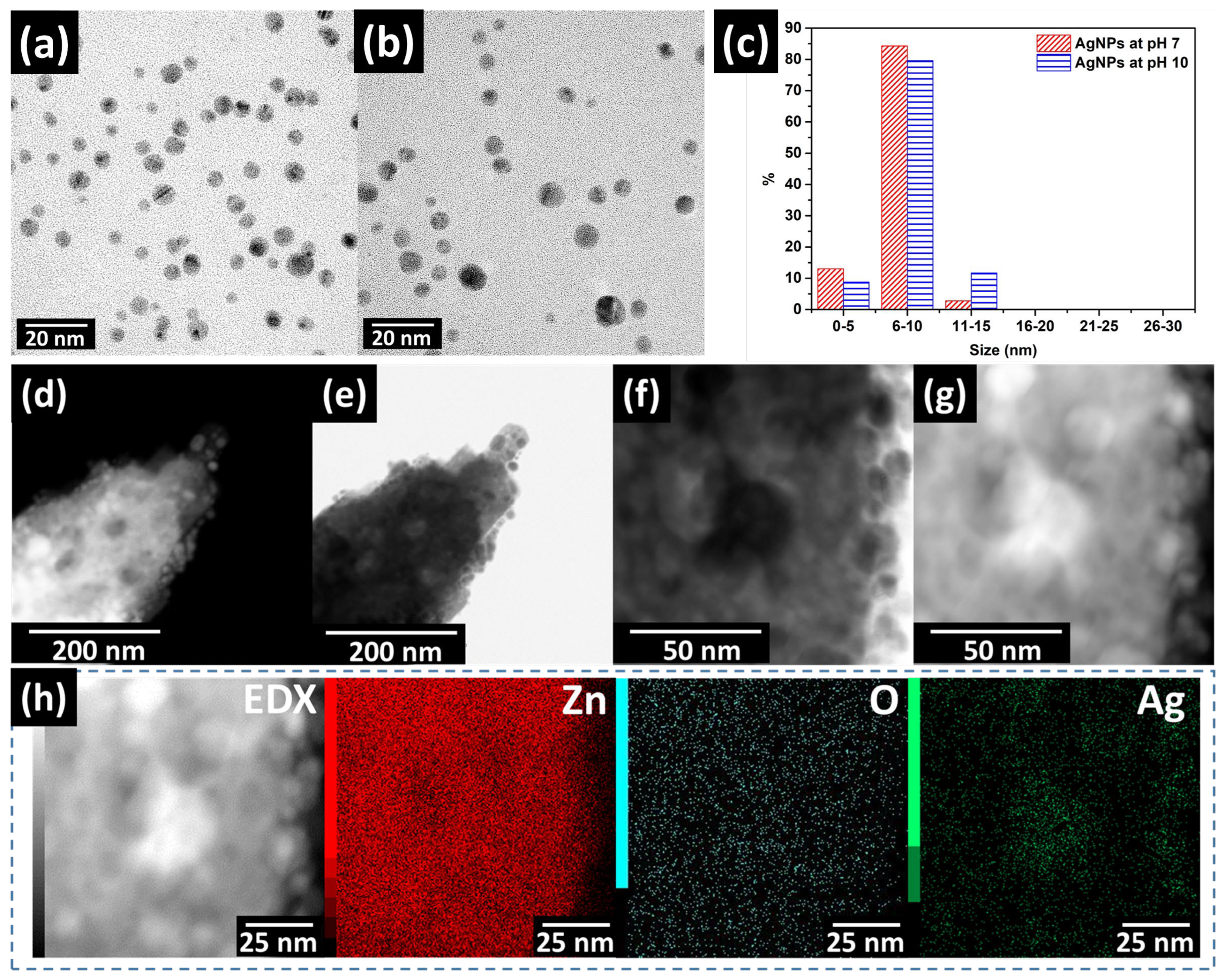 Catalysts 13 00265 g005 Catalysts 13 00265 g005
