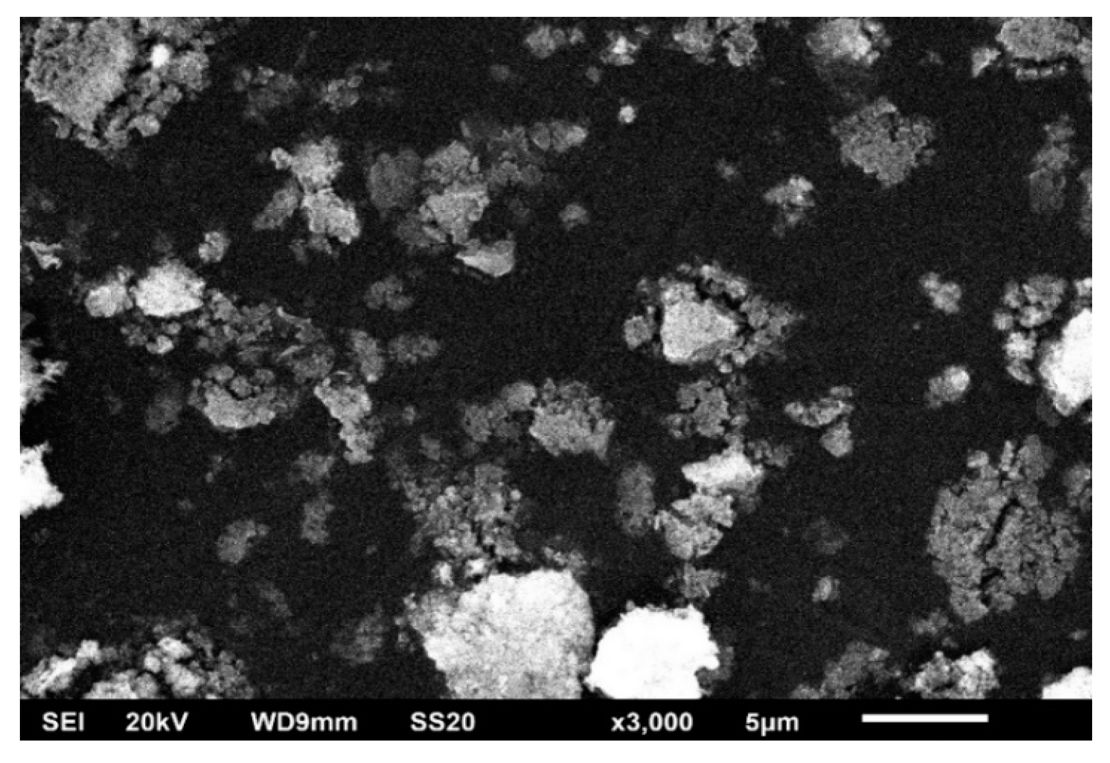 Catalysts 13 00271 g006