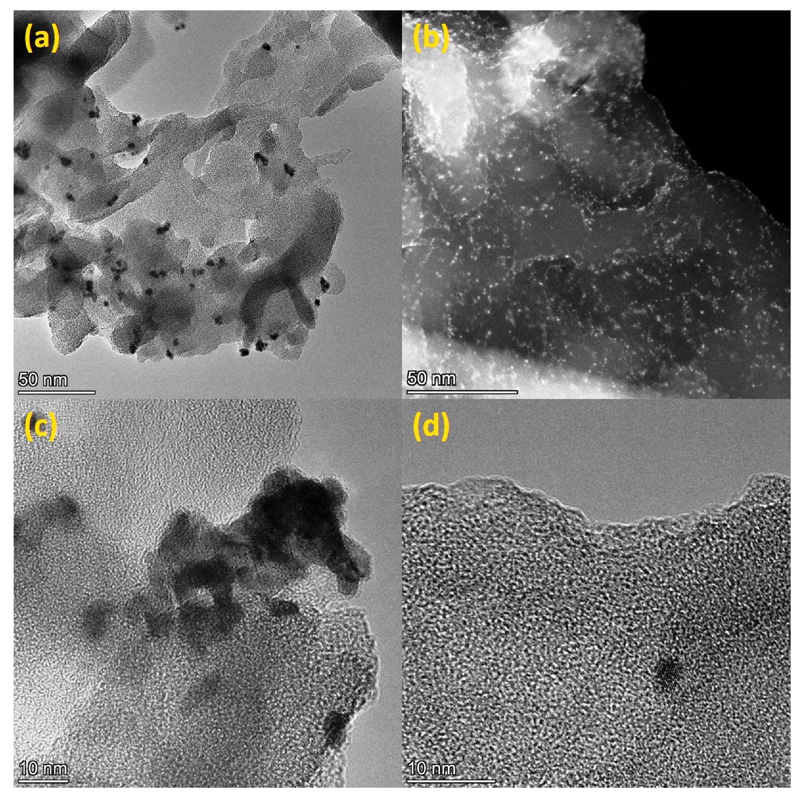 Catalysts 13 00273 g003