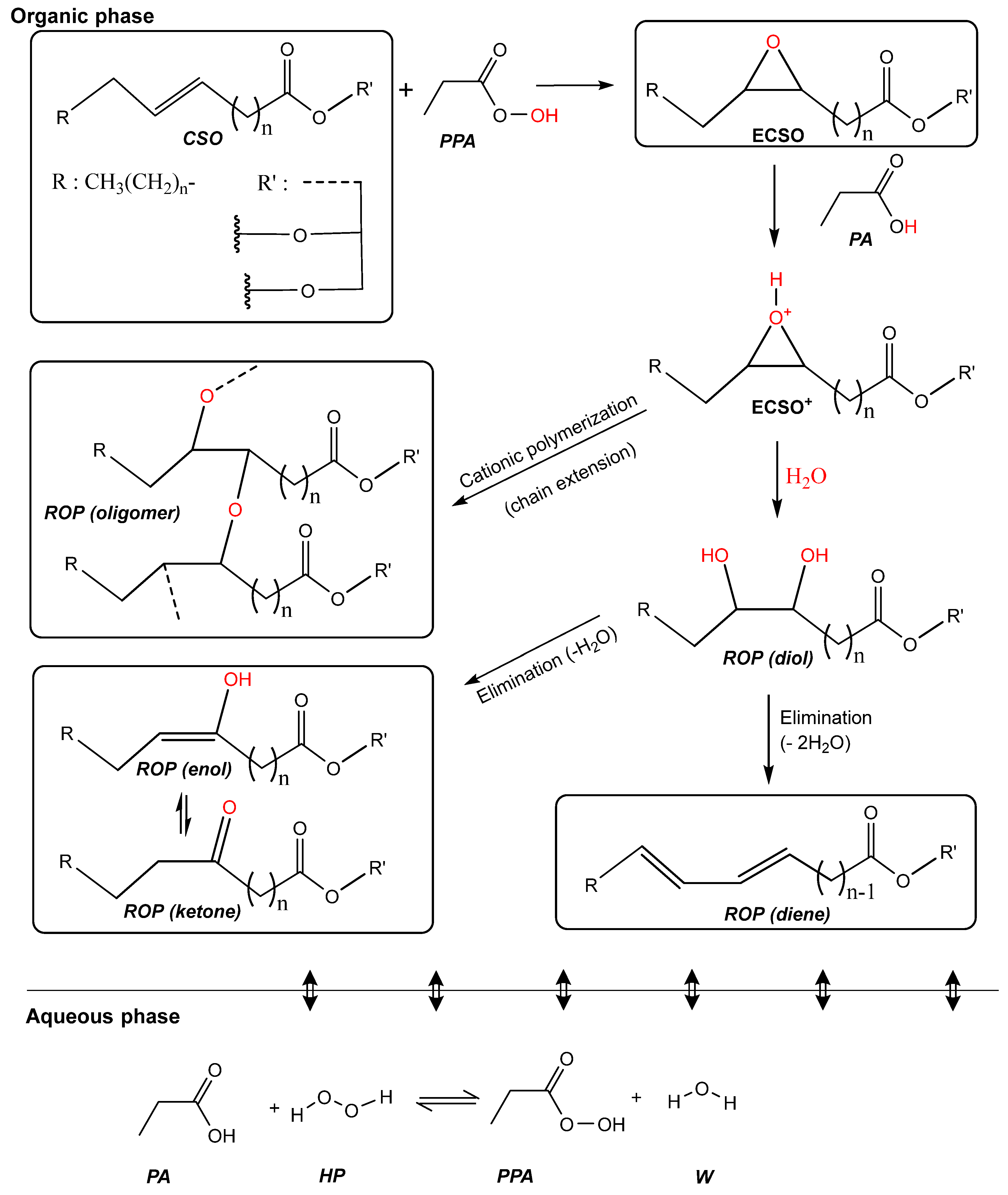 Catalysts 13 00274 g009