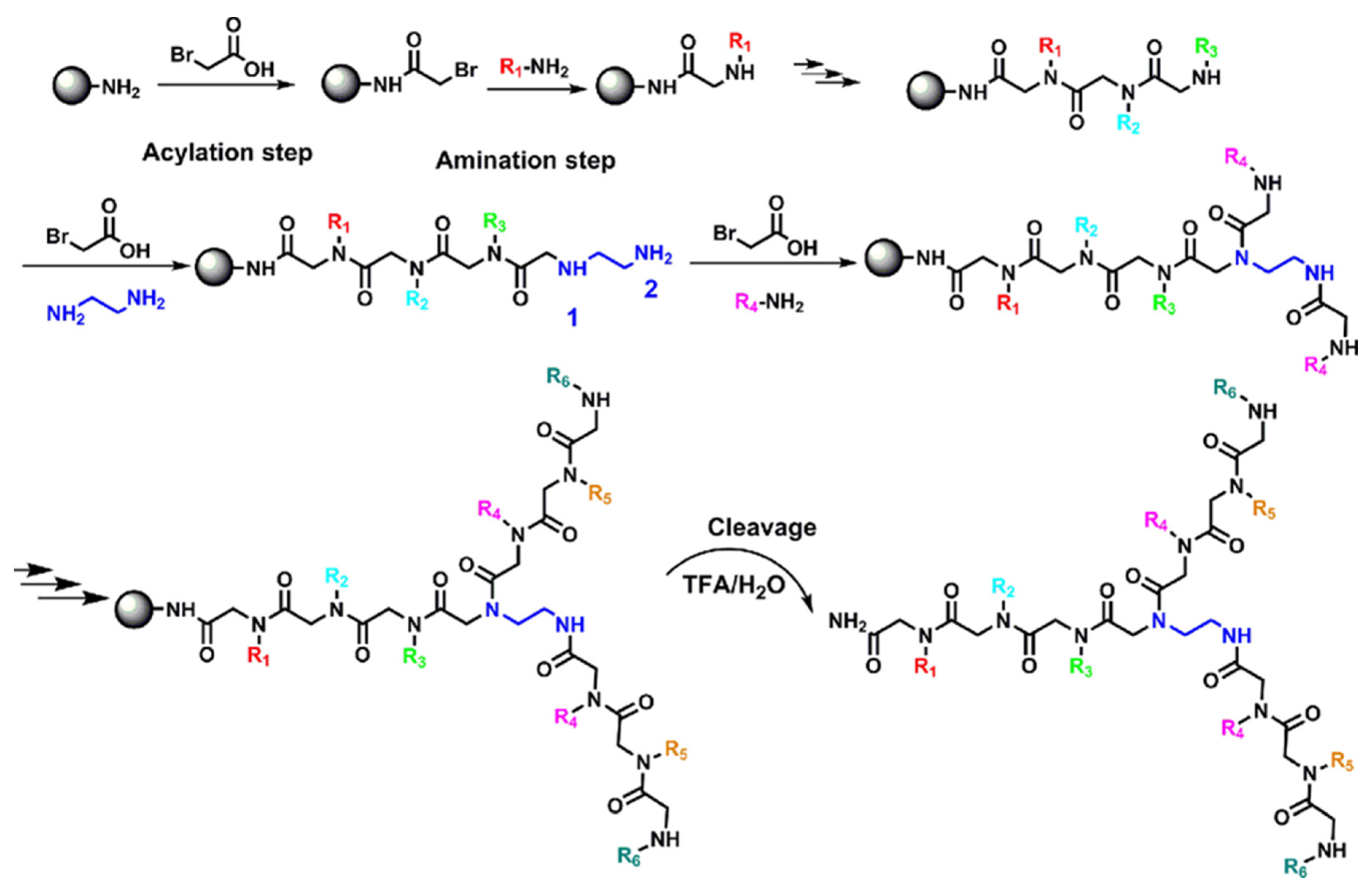 Catalysts 13 00280 g005