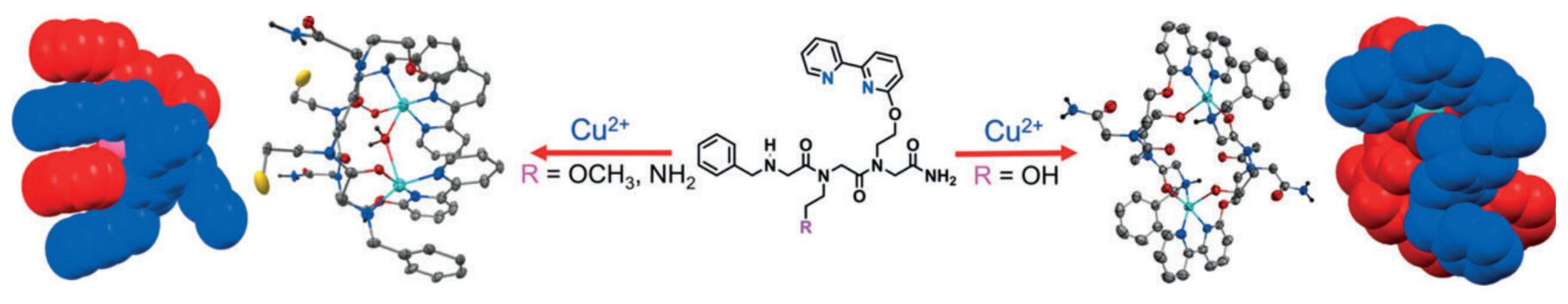 Catalysts 13 00280 g010