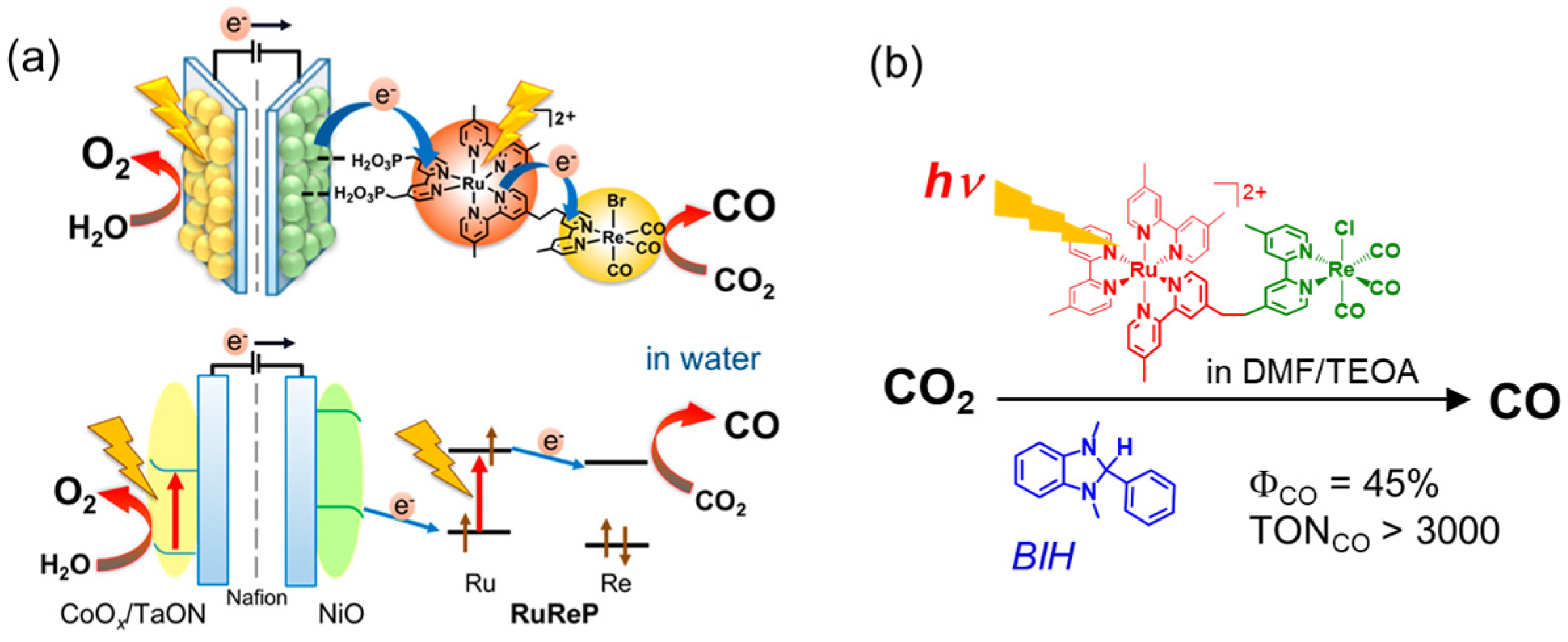 Catalysts 13 00282 g001