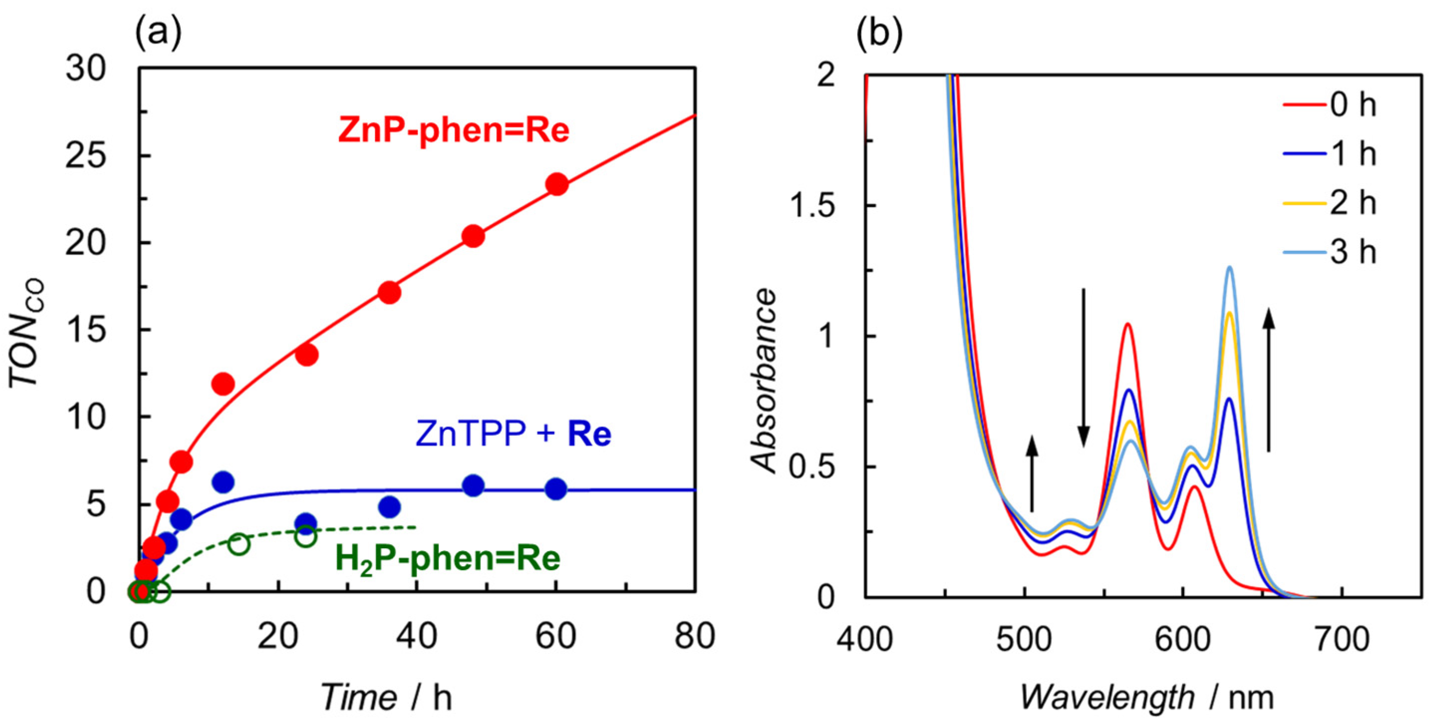 Catalysts 13 00282 g011