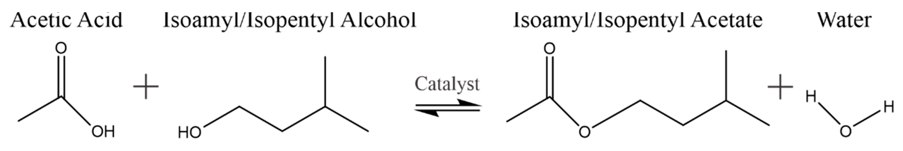 Catalysts 13 00284 g001