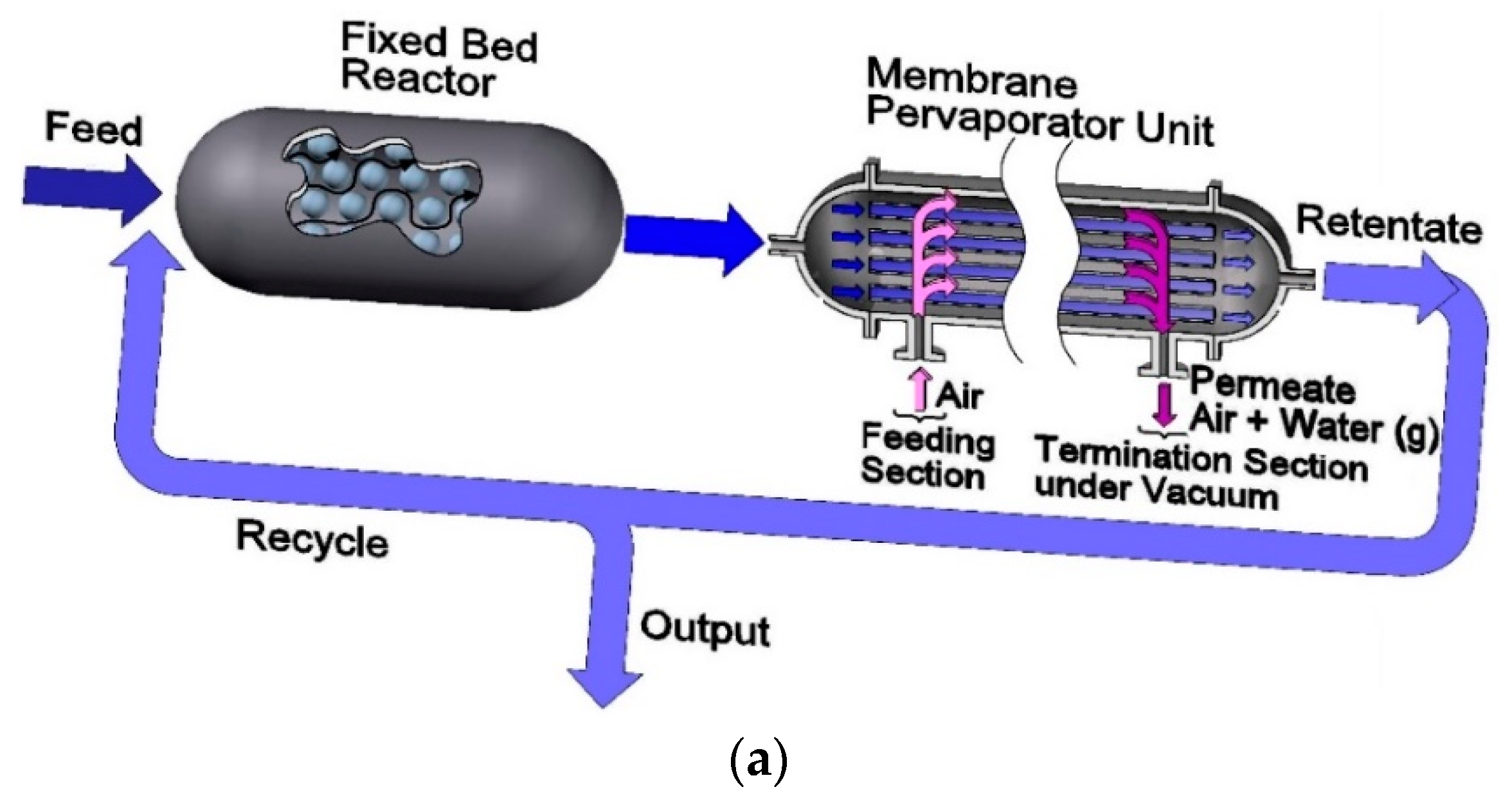 Catalysts 13 00284 g002a