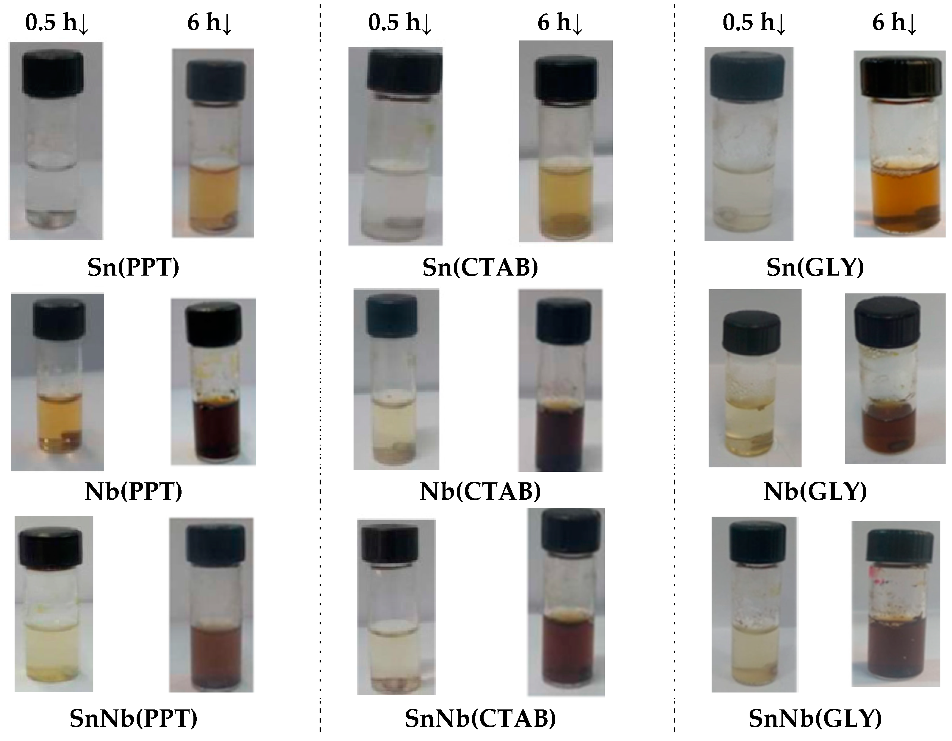 Catalysts 13 00285 g010