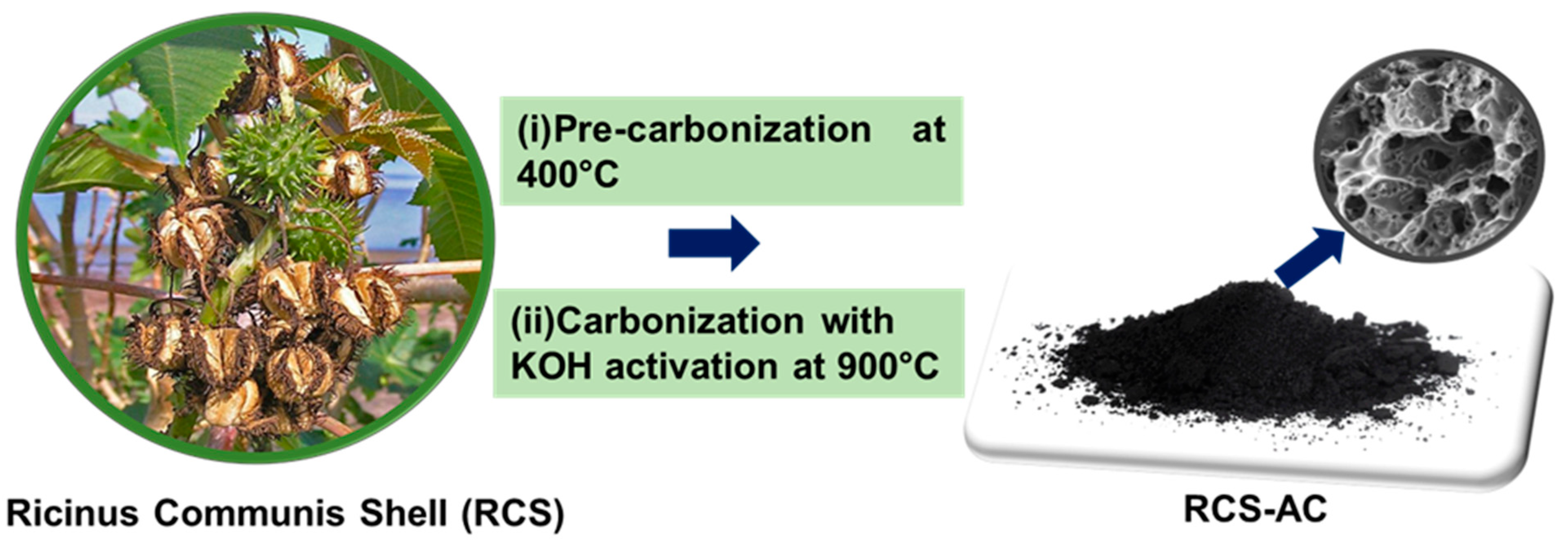 Catalysts 13 00286 sch001
