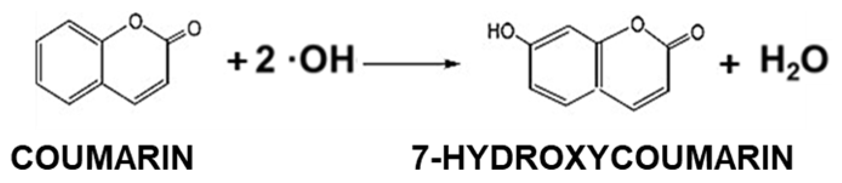 Catalysts 13 00287 g008