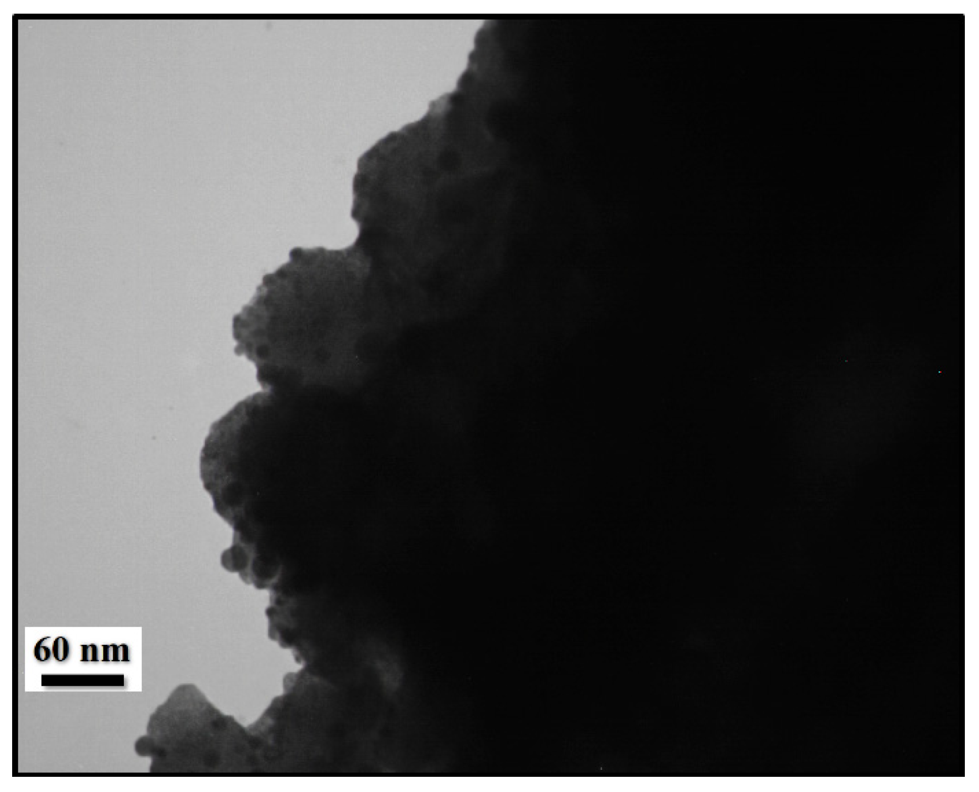 Catalysts 13 00290 g006