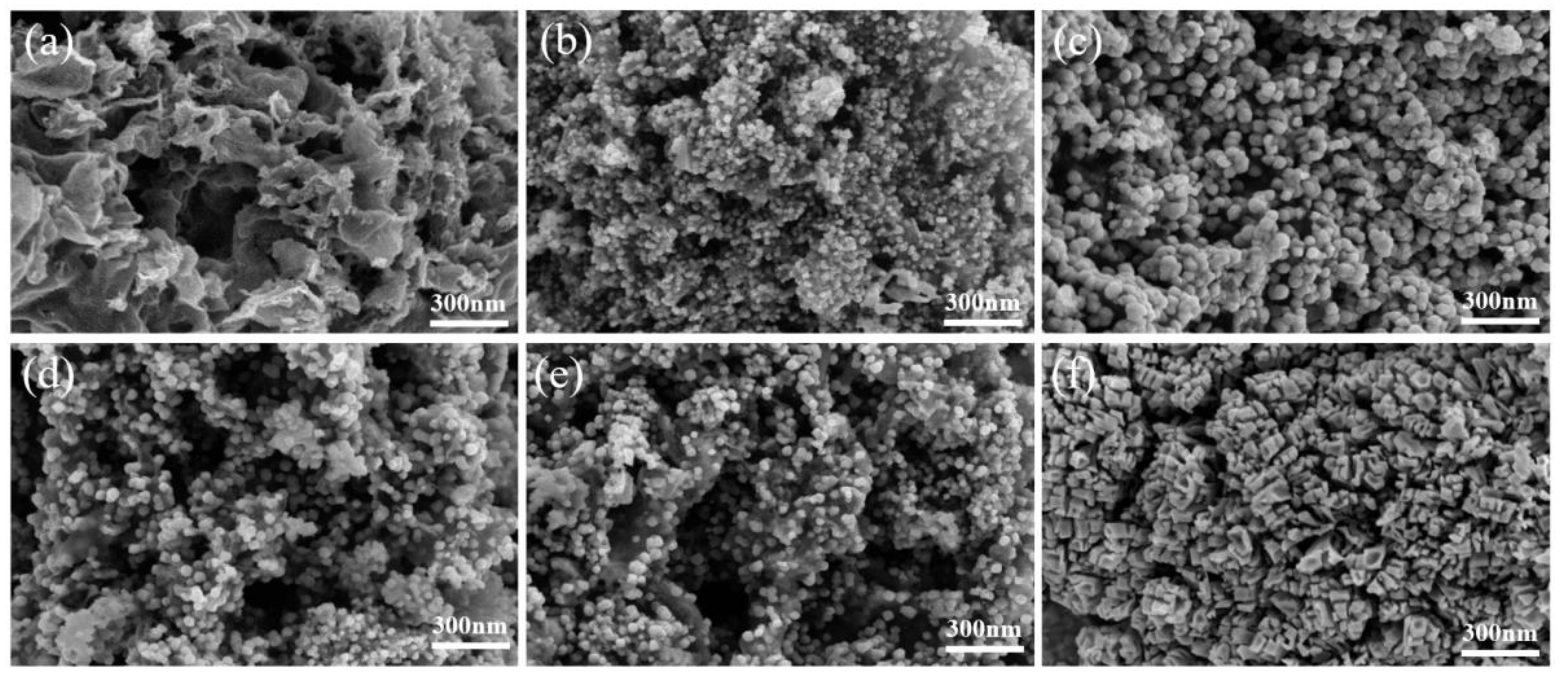 Catalysts 13 00291 g002
