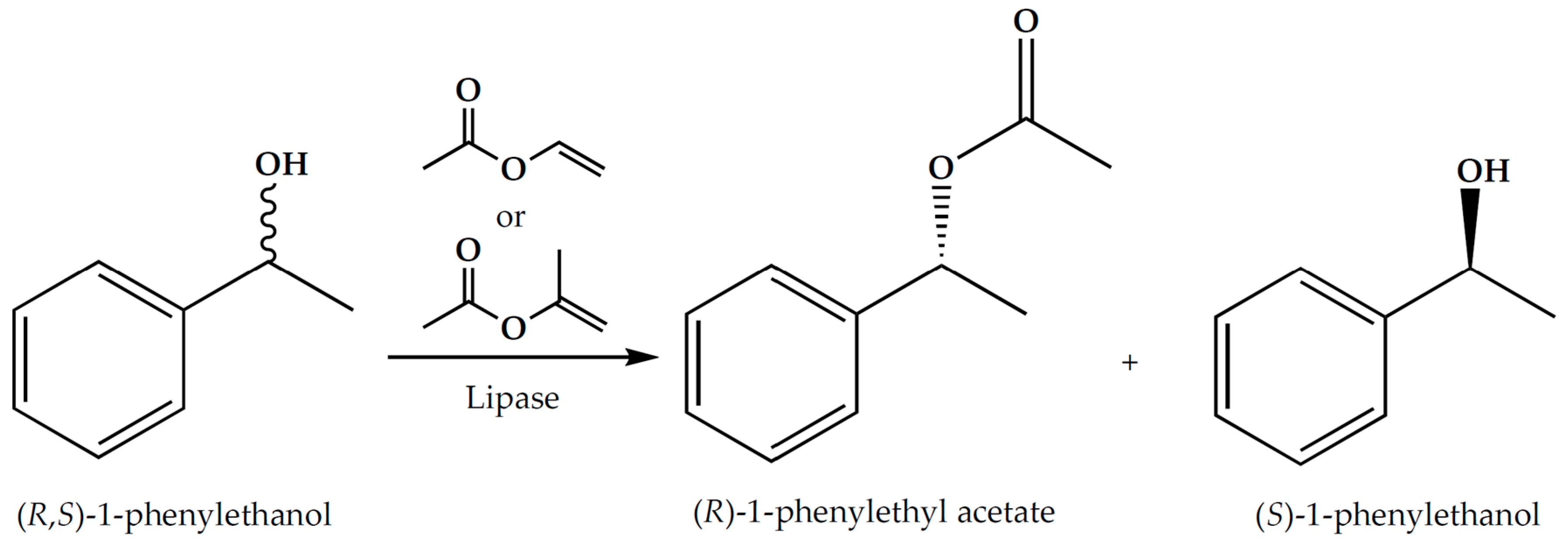 Catalysts 13 00292 g002